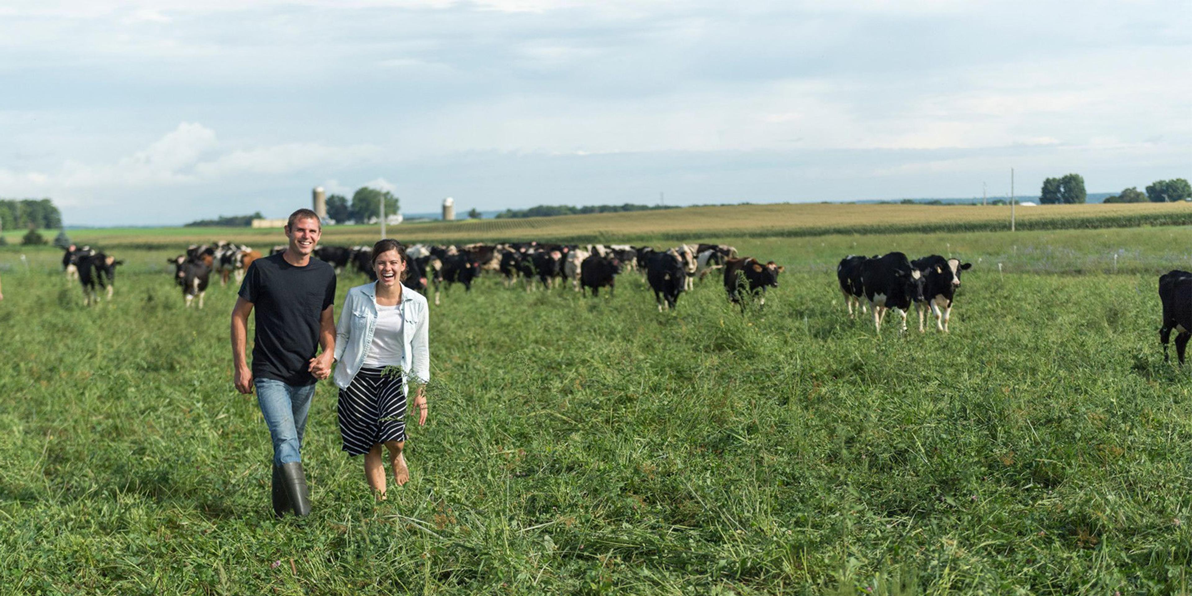 Dairy cows on the Gasser family farm in Ohio.