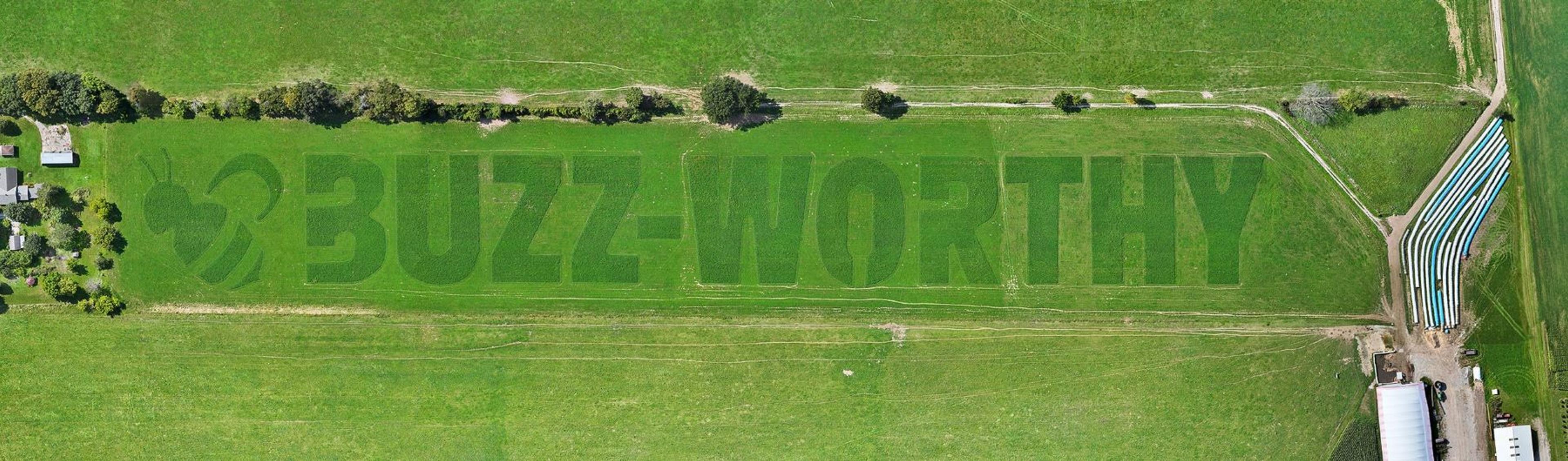 The word BUZZ-WORTHY as seen from a drone.