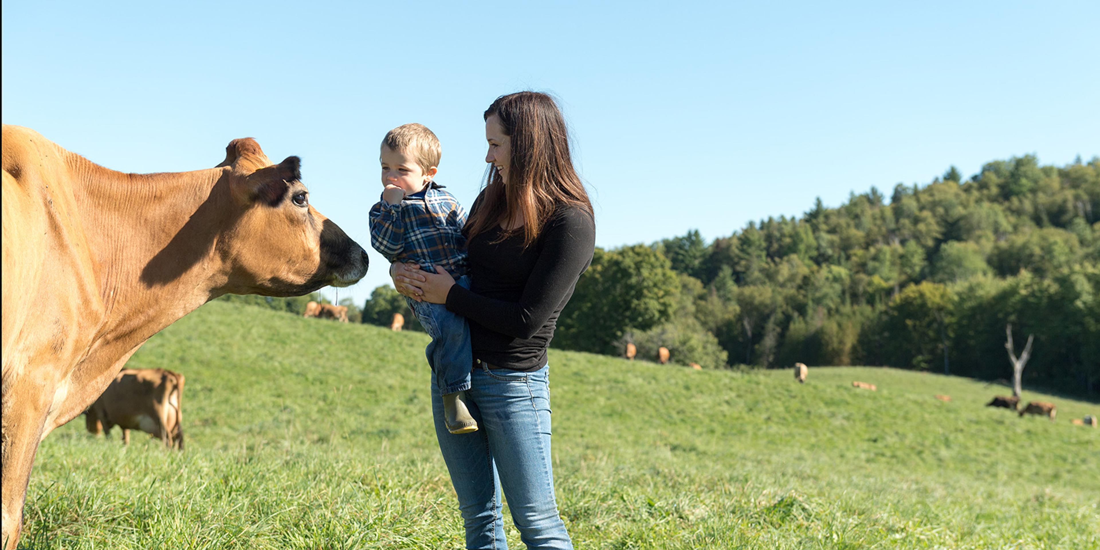 A Jersey cow inspects a little boy held by his young mother out in the pasture.