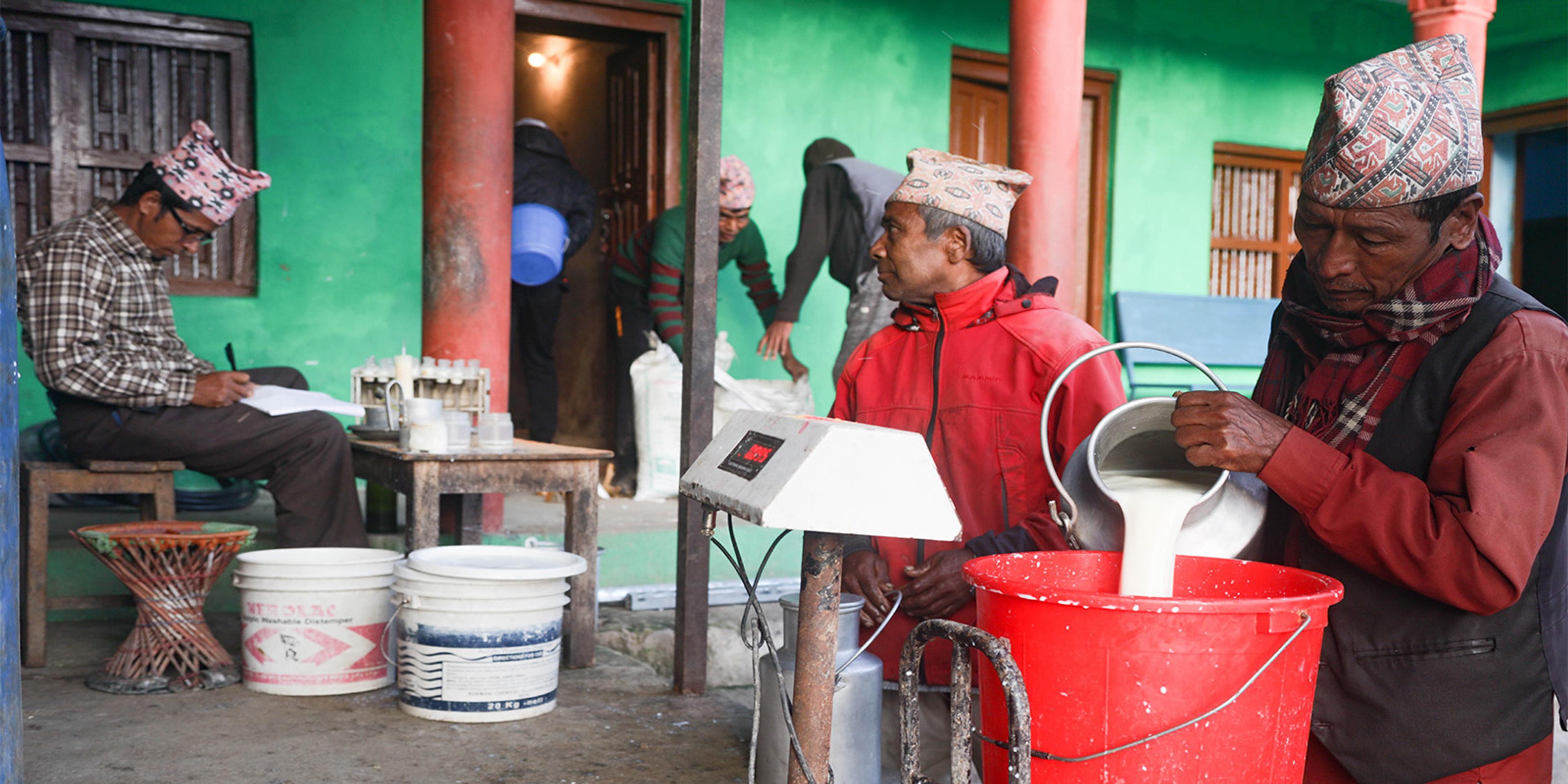 A man tests milk and a farmer pours milk in a bucket.
