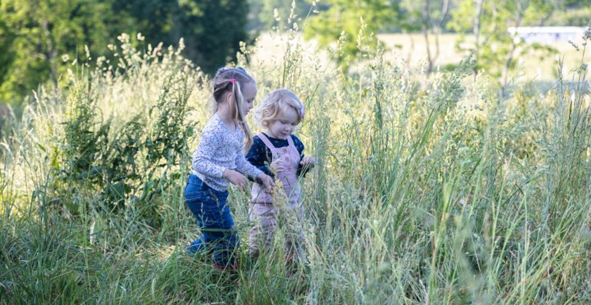 Two girls walk through grasses with trees in the background.