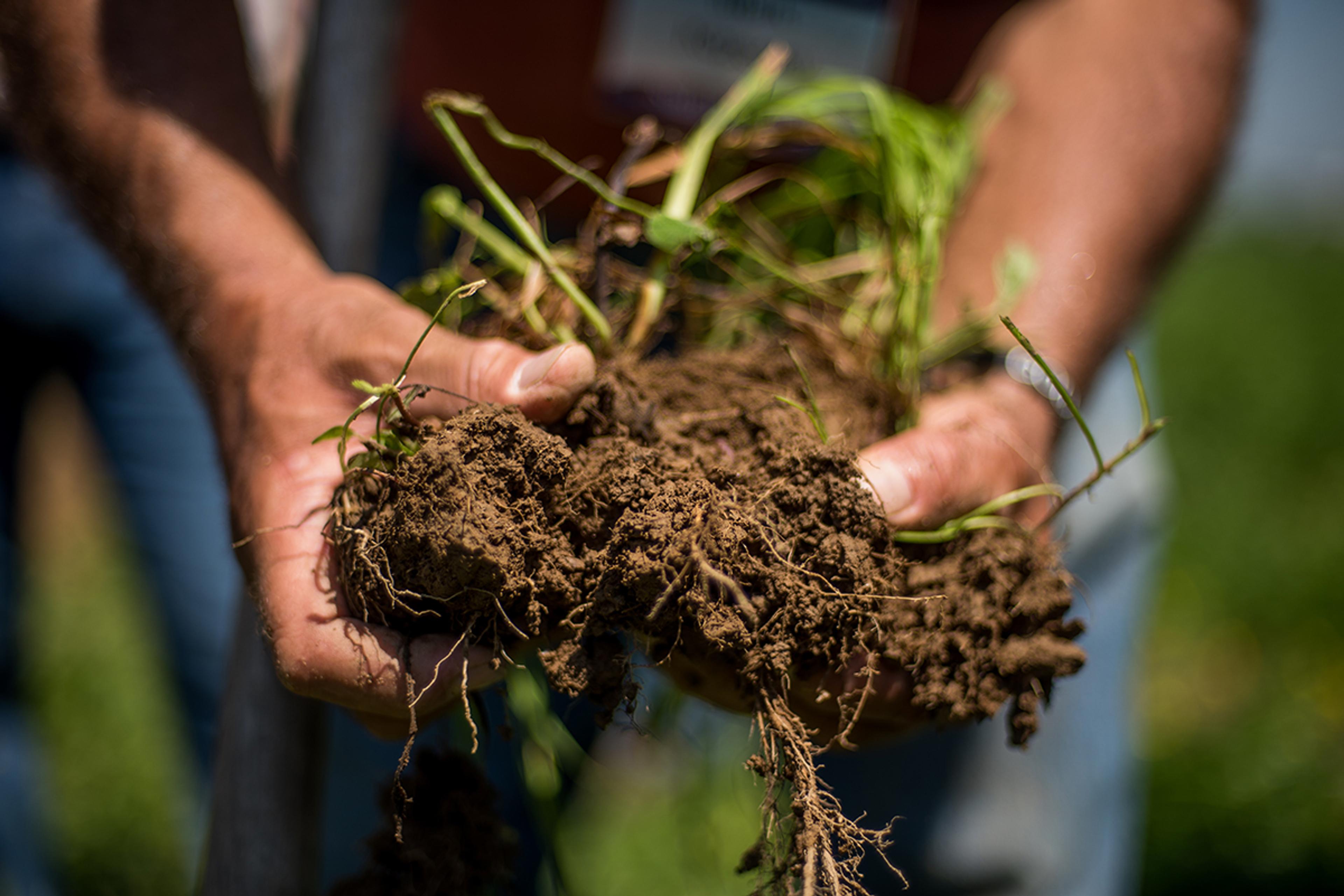 A man holds a clump of dark, healthy-looking soil where pasture grass roots are still holding it together.