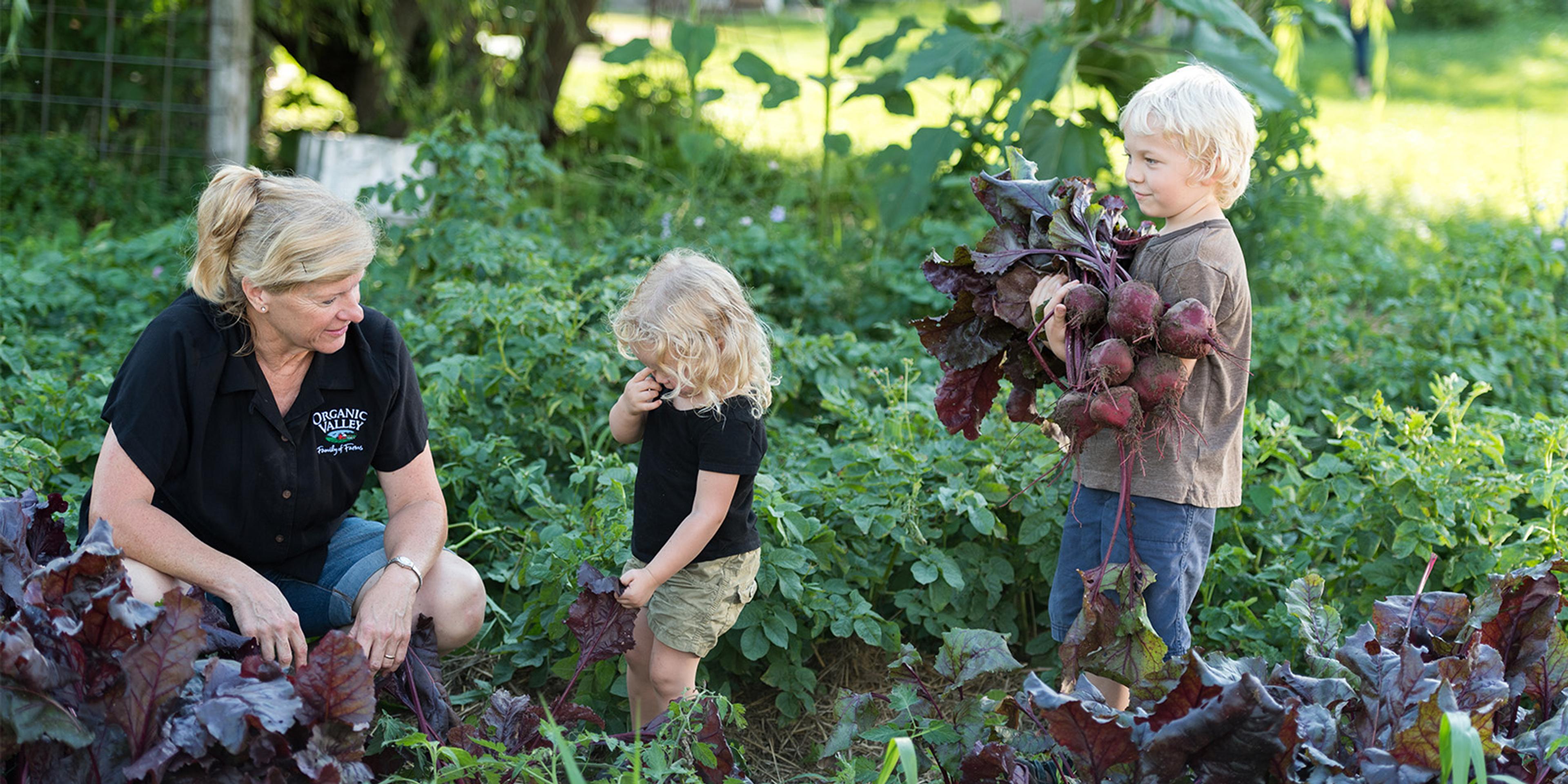 A boy, girl and woman pick beets from a garden at the Placke family farm in Wisconsin.