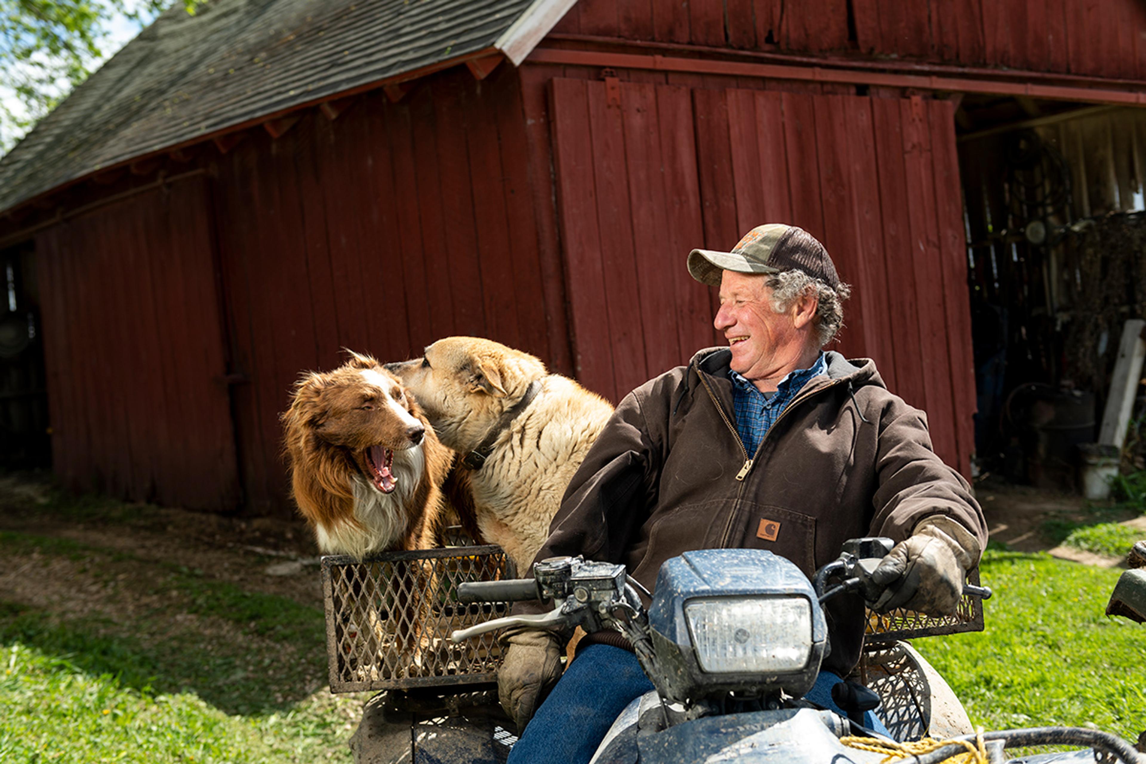 A middle-aged man sits on a four-wheeler and laughs at his two dogs sitting on the back.