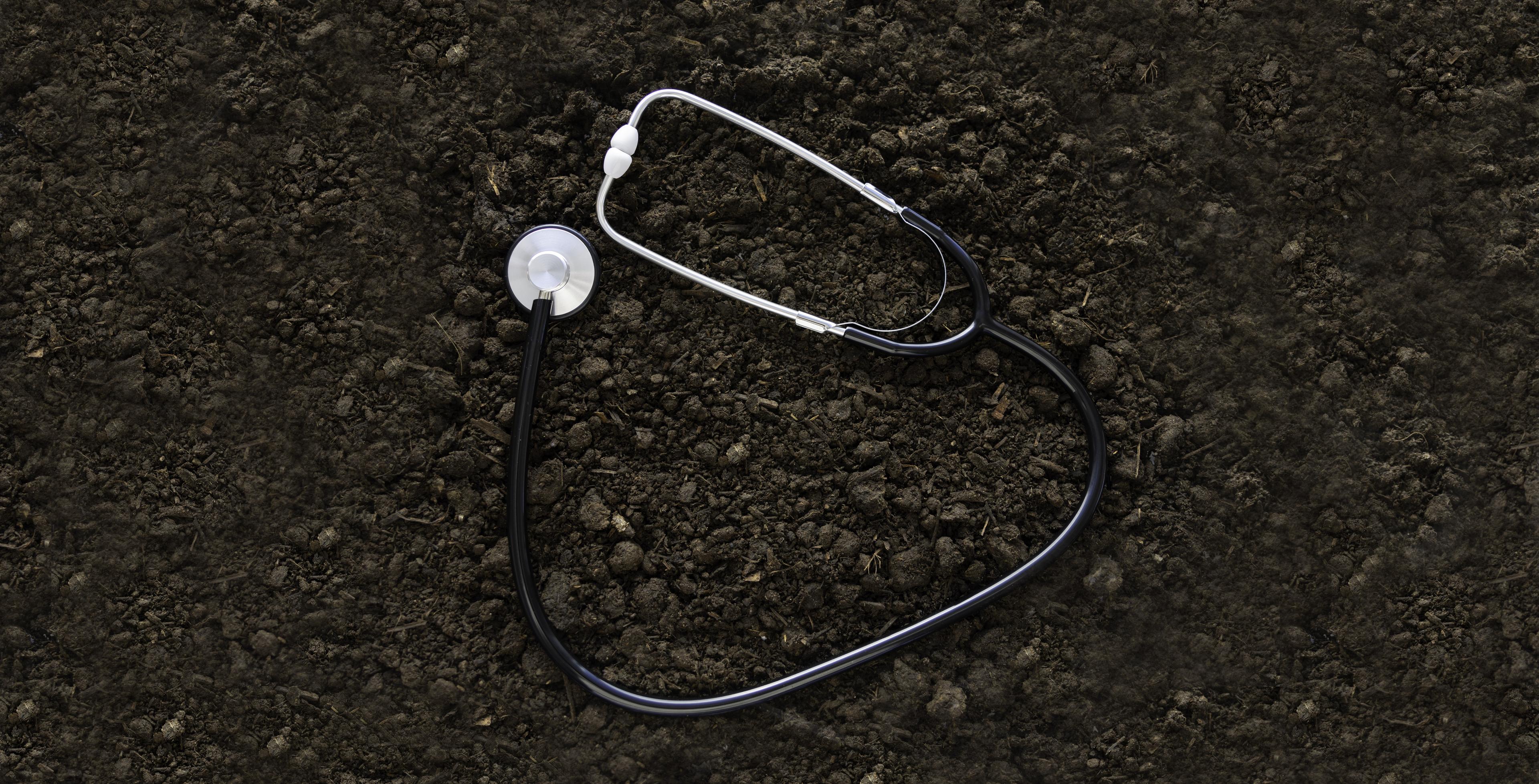 A stethoscope lays on a patch of soil.