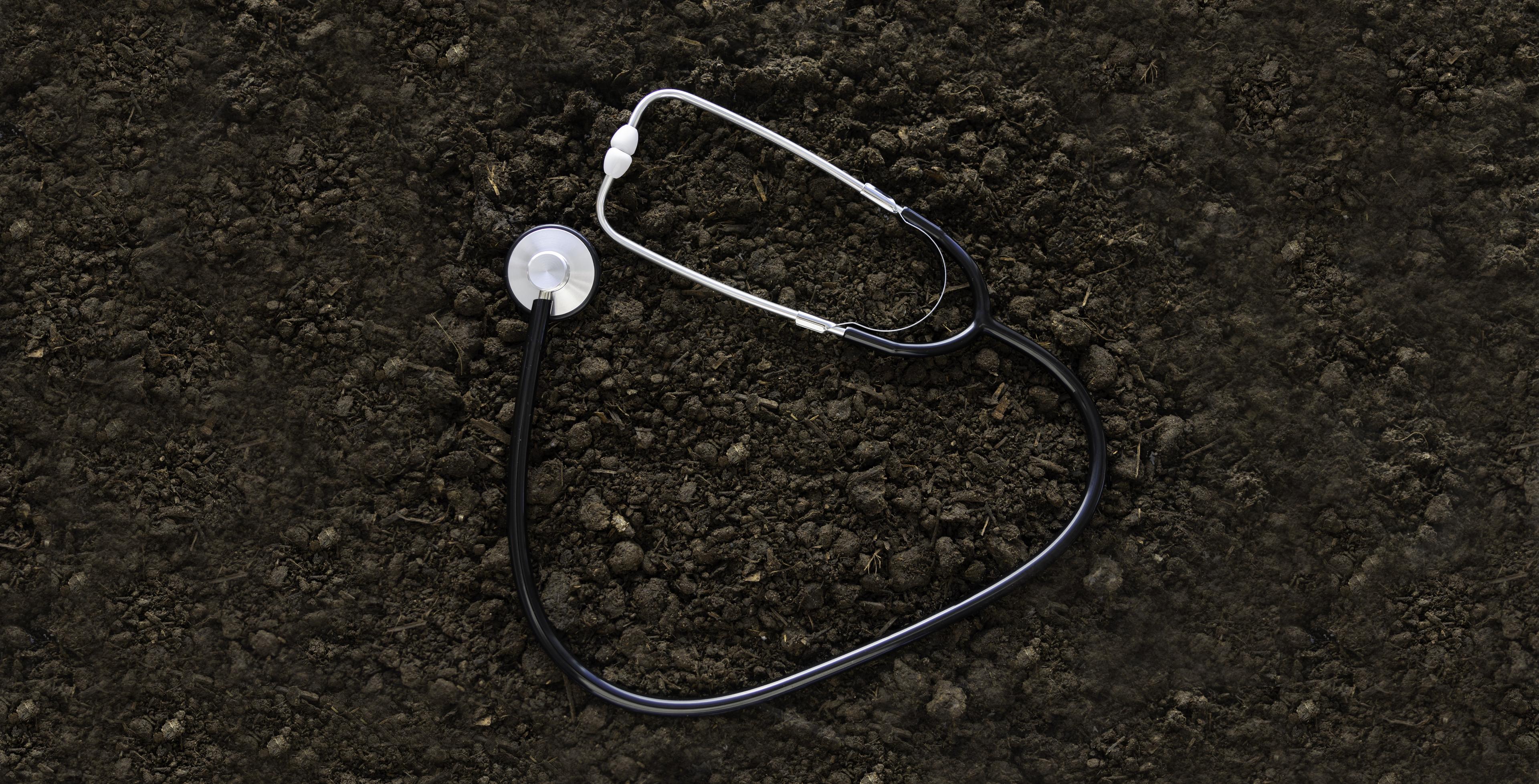 A stethoscope lays on a patch of soil.