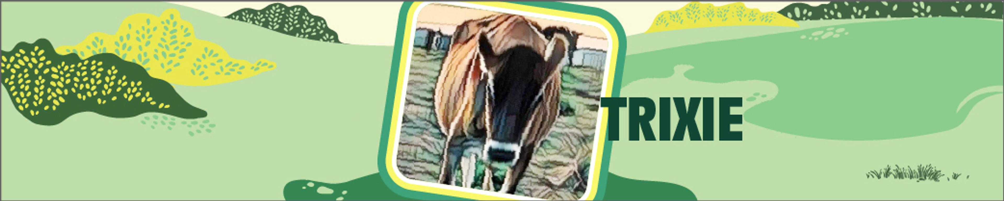 A graphic of a dairy cow with pasture in the background.