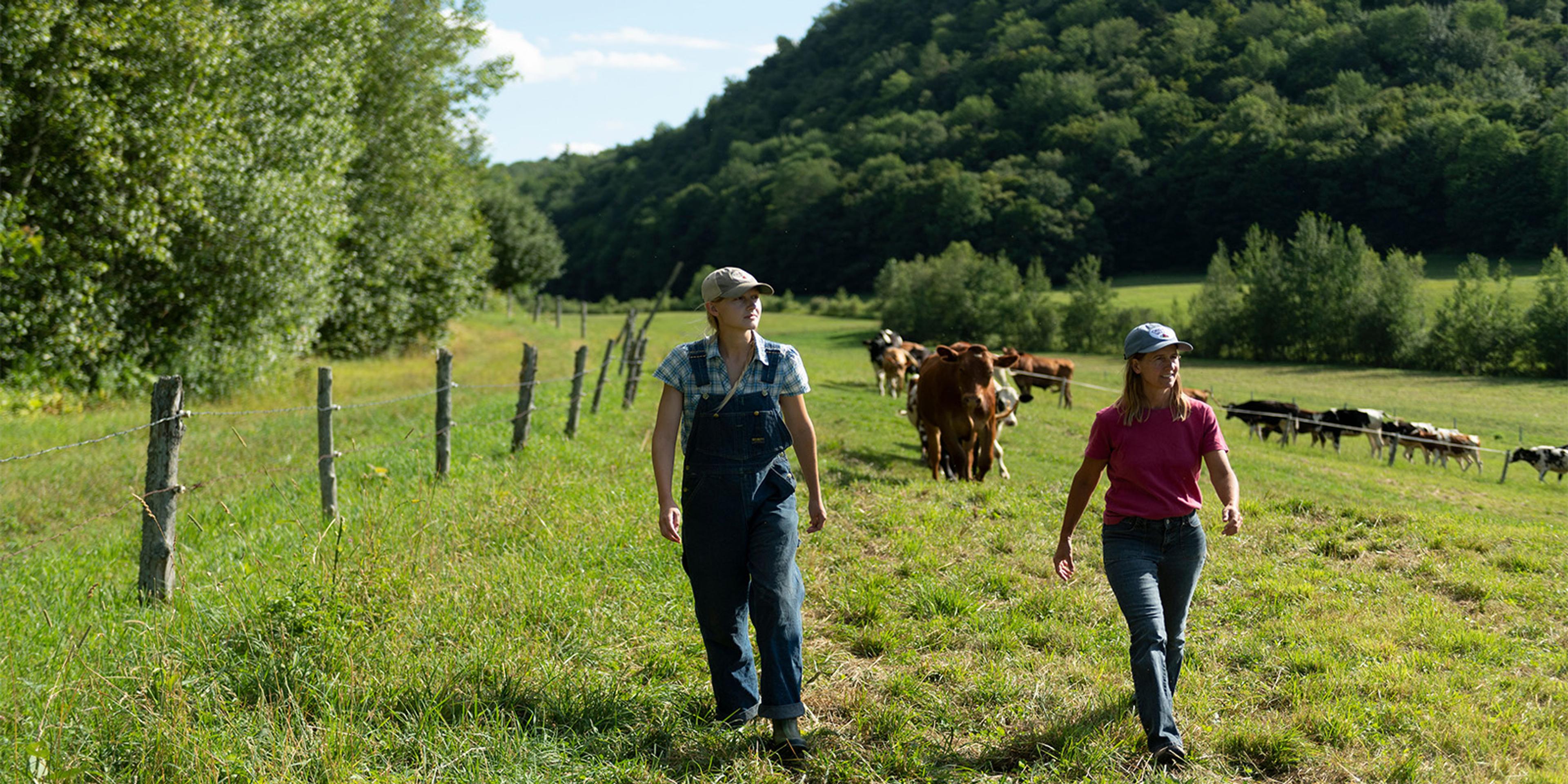 Farmers walk at the Rooney farm in Vermont.