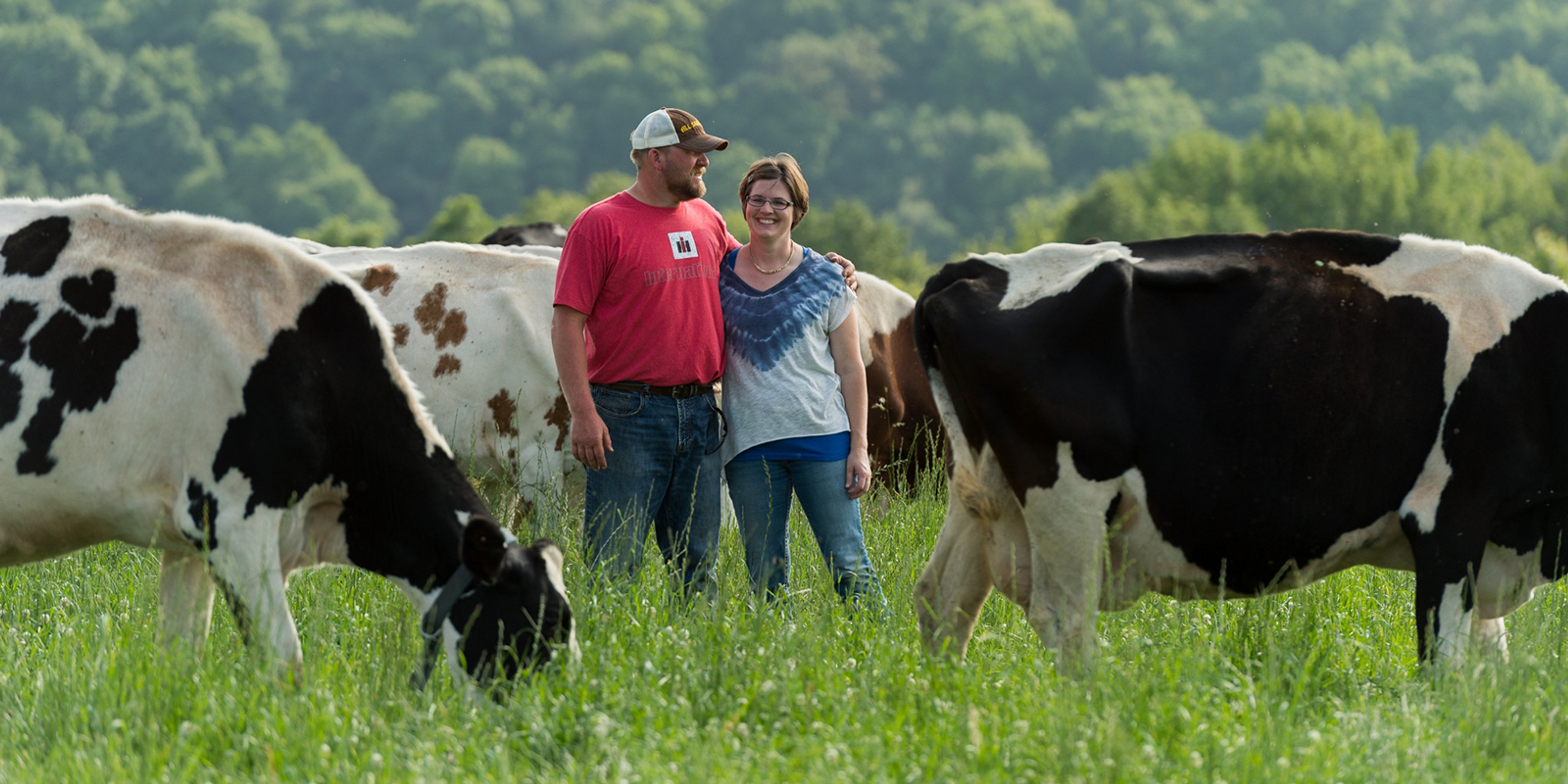 Tucker Gretebeck strolls with his spouse, Becky, among their certified grass-fed cows.