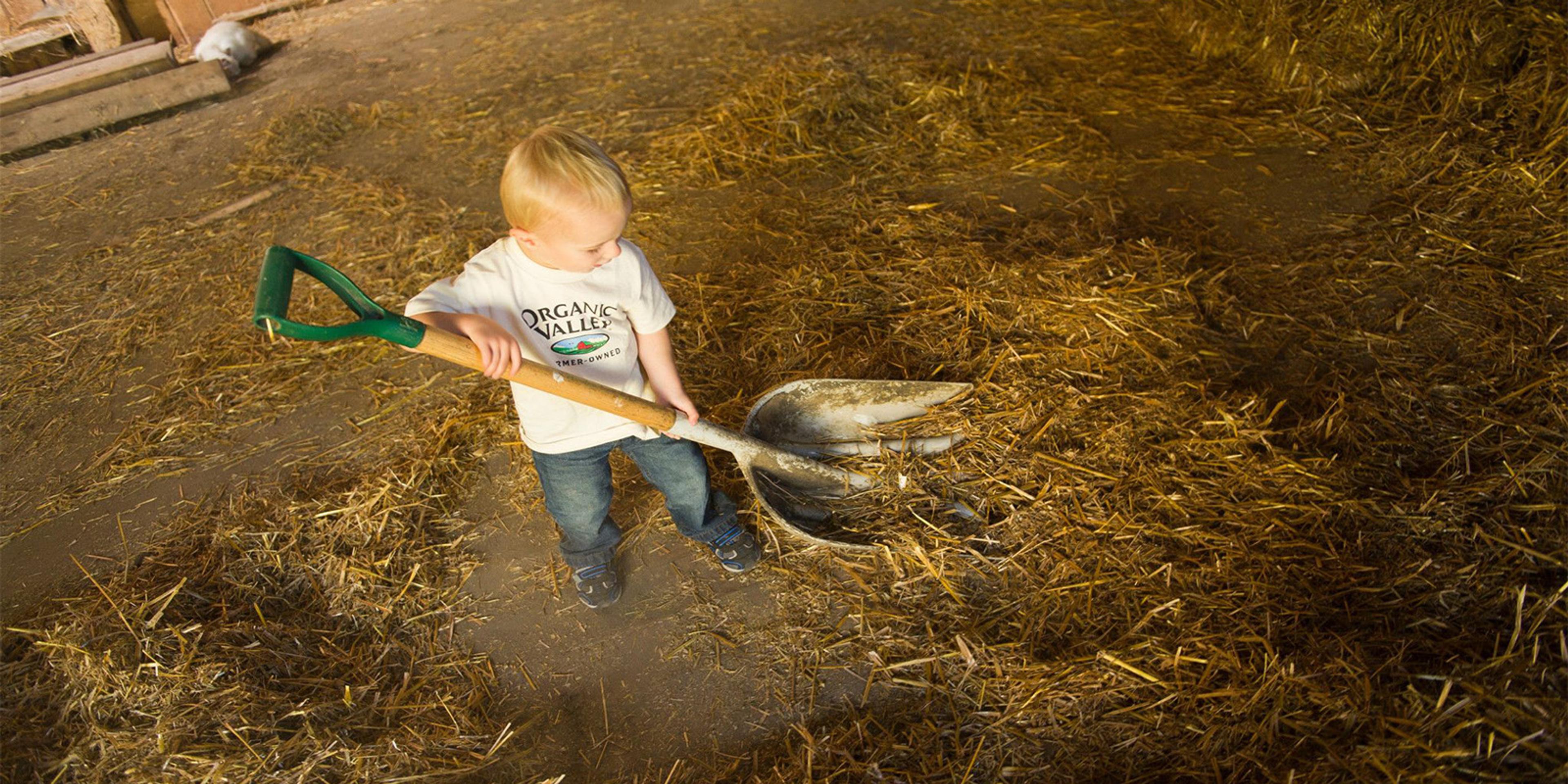 A toddler shovels hay in a barn at the Zweber farm in Minnesota.
