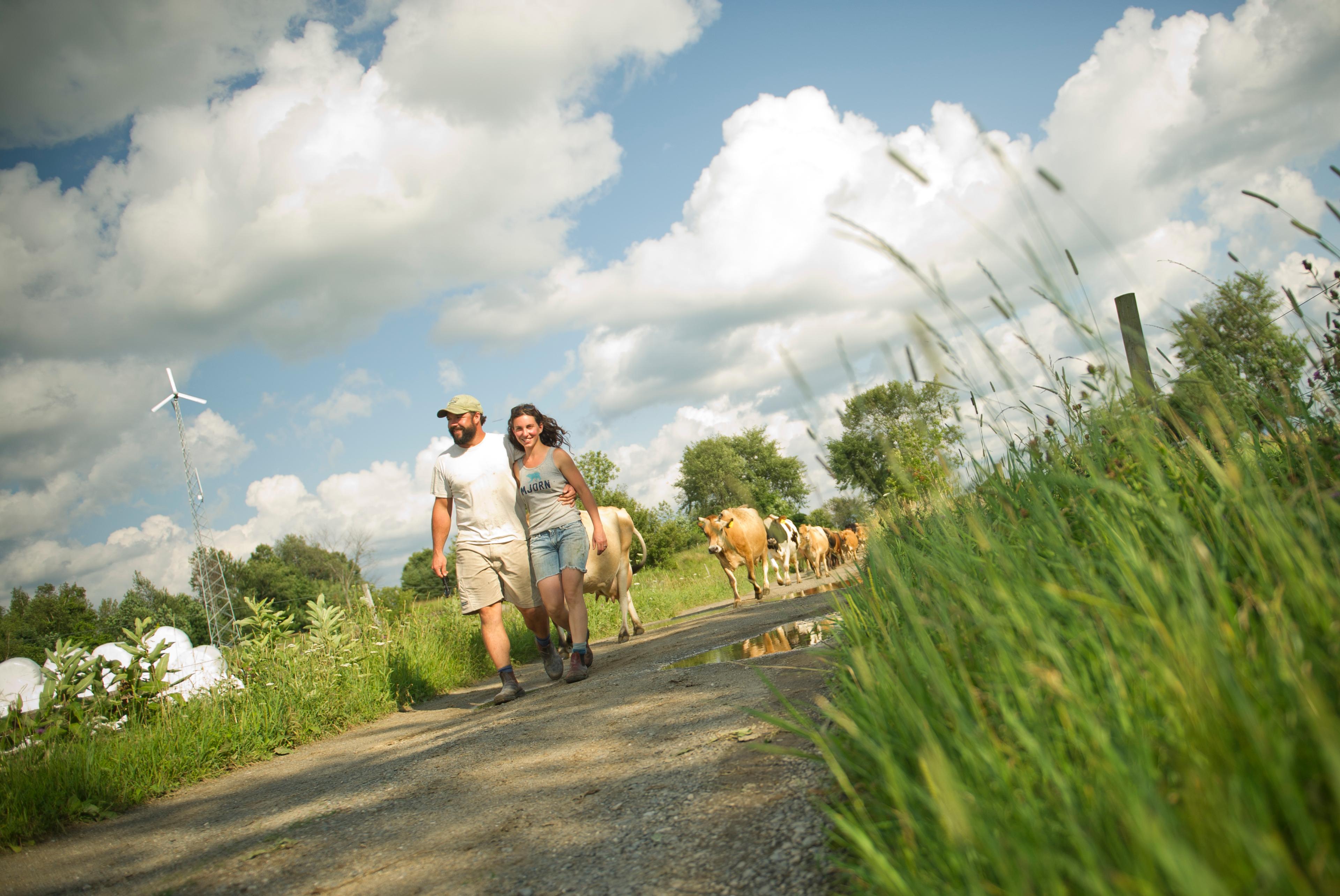 Wind power at the Webb farm in Vermont.