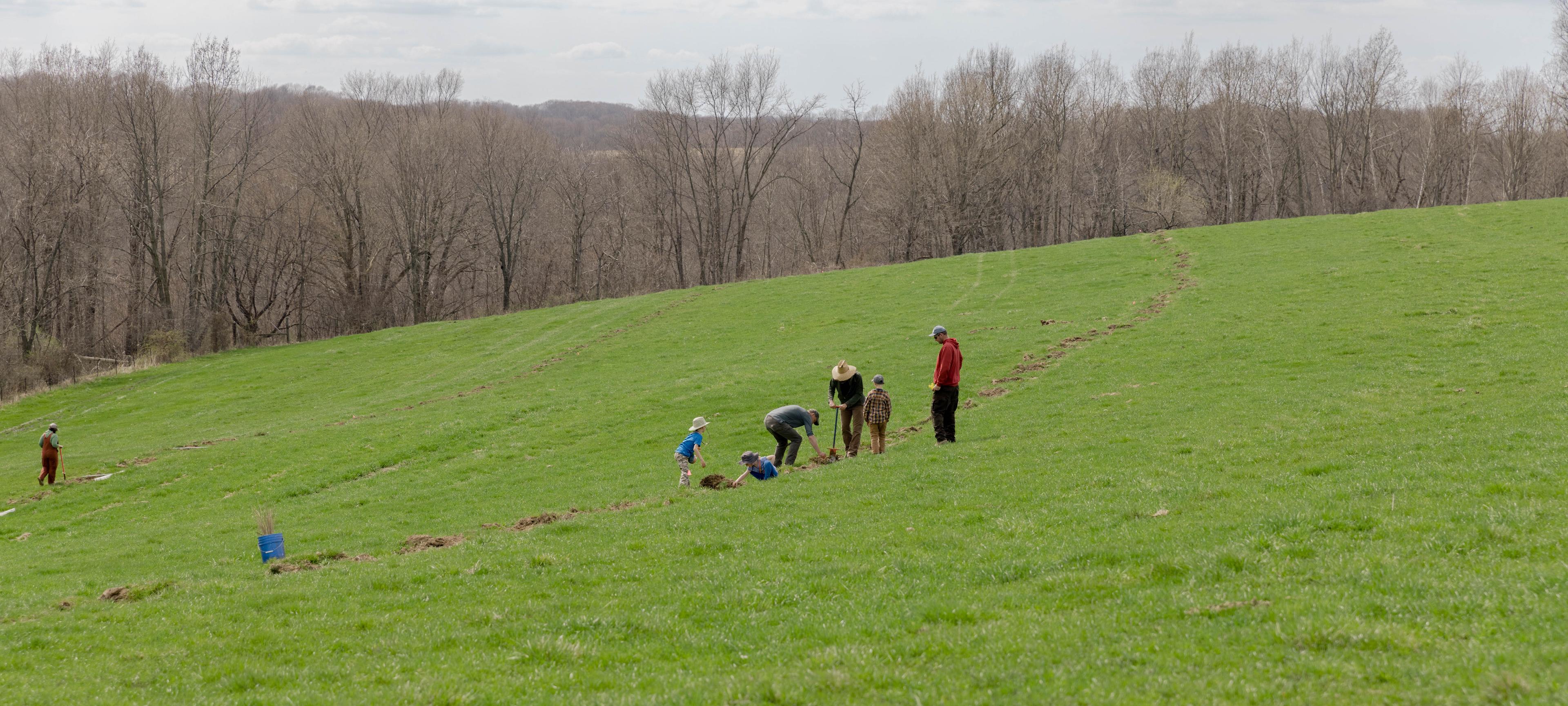 Seven people overturn soil to plant trees on the Gretebeck family farm near Cashton, Wisconsin.