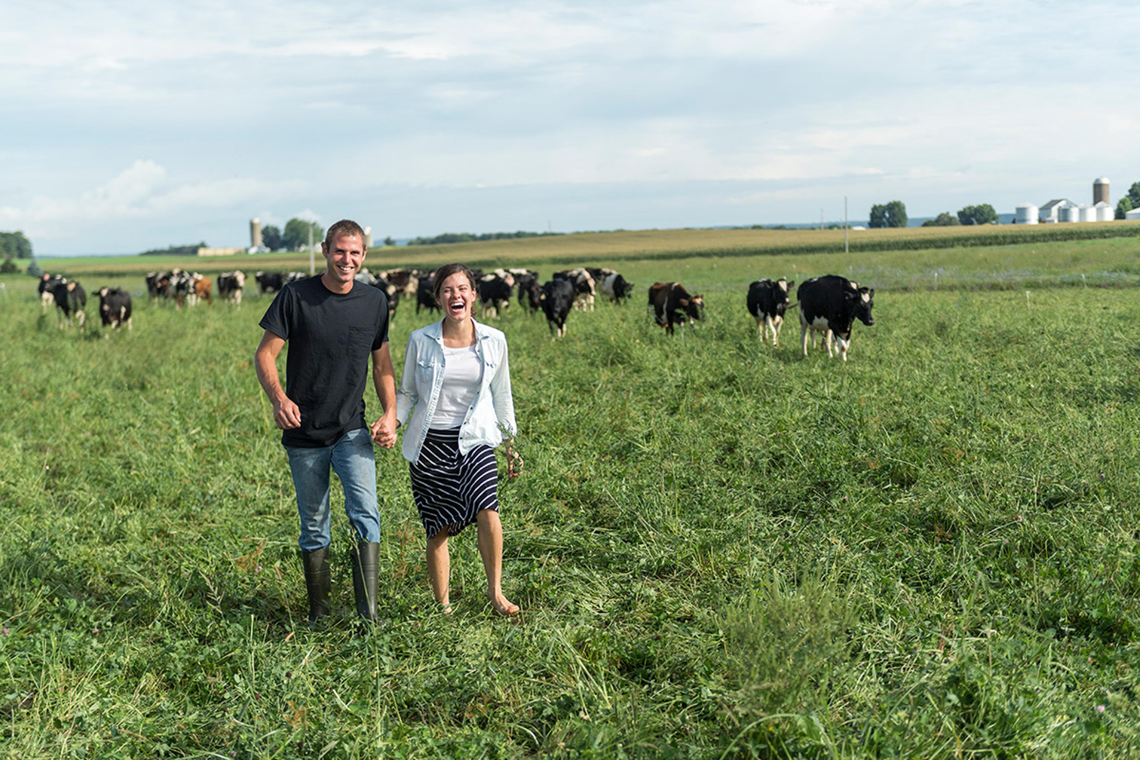 A man and woman laugh and hold hands while walking in a pasture with cows behind them.
