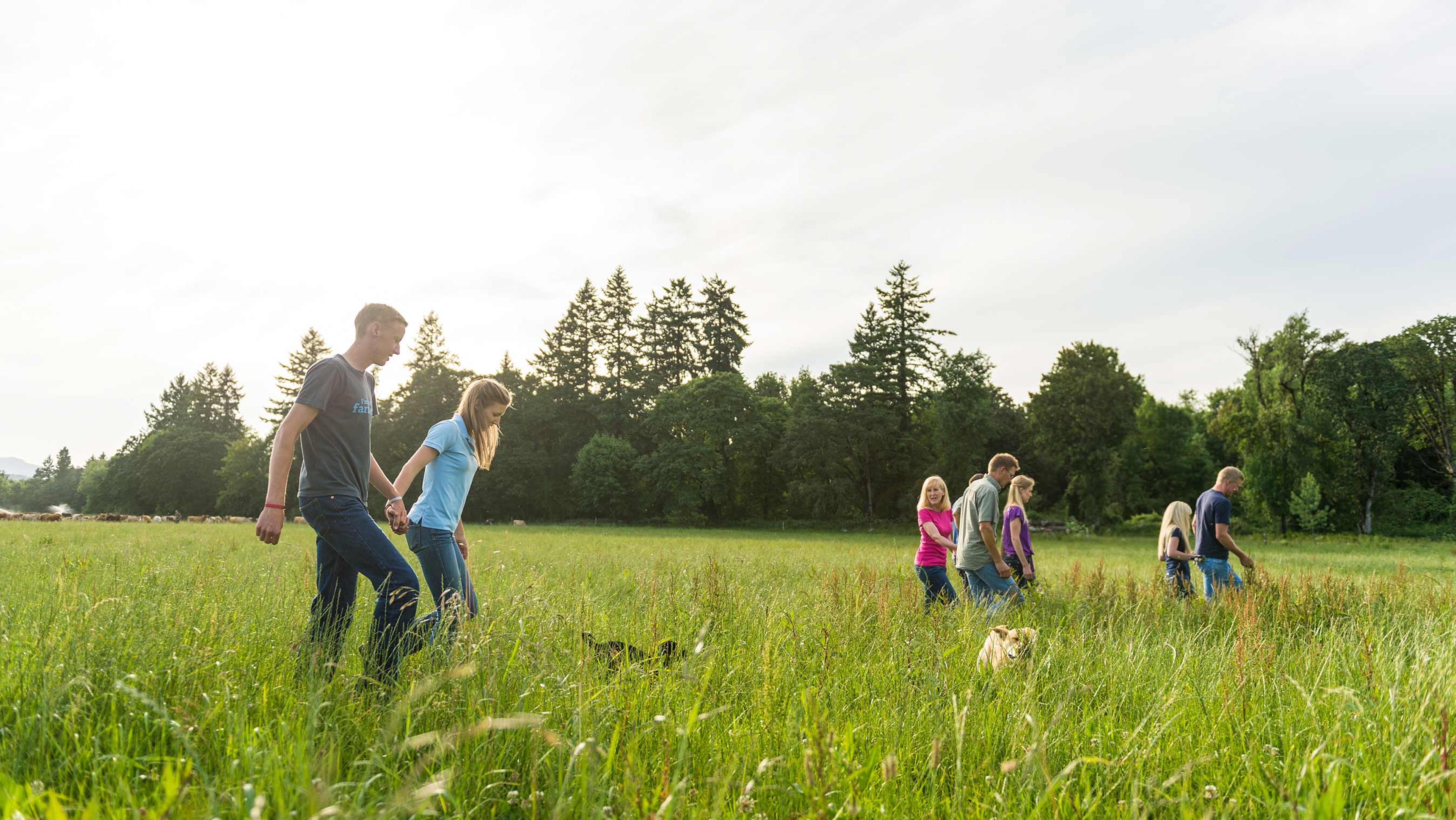 Jon Bansen walking in the pasture on his Organic Valley farm