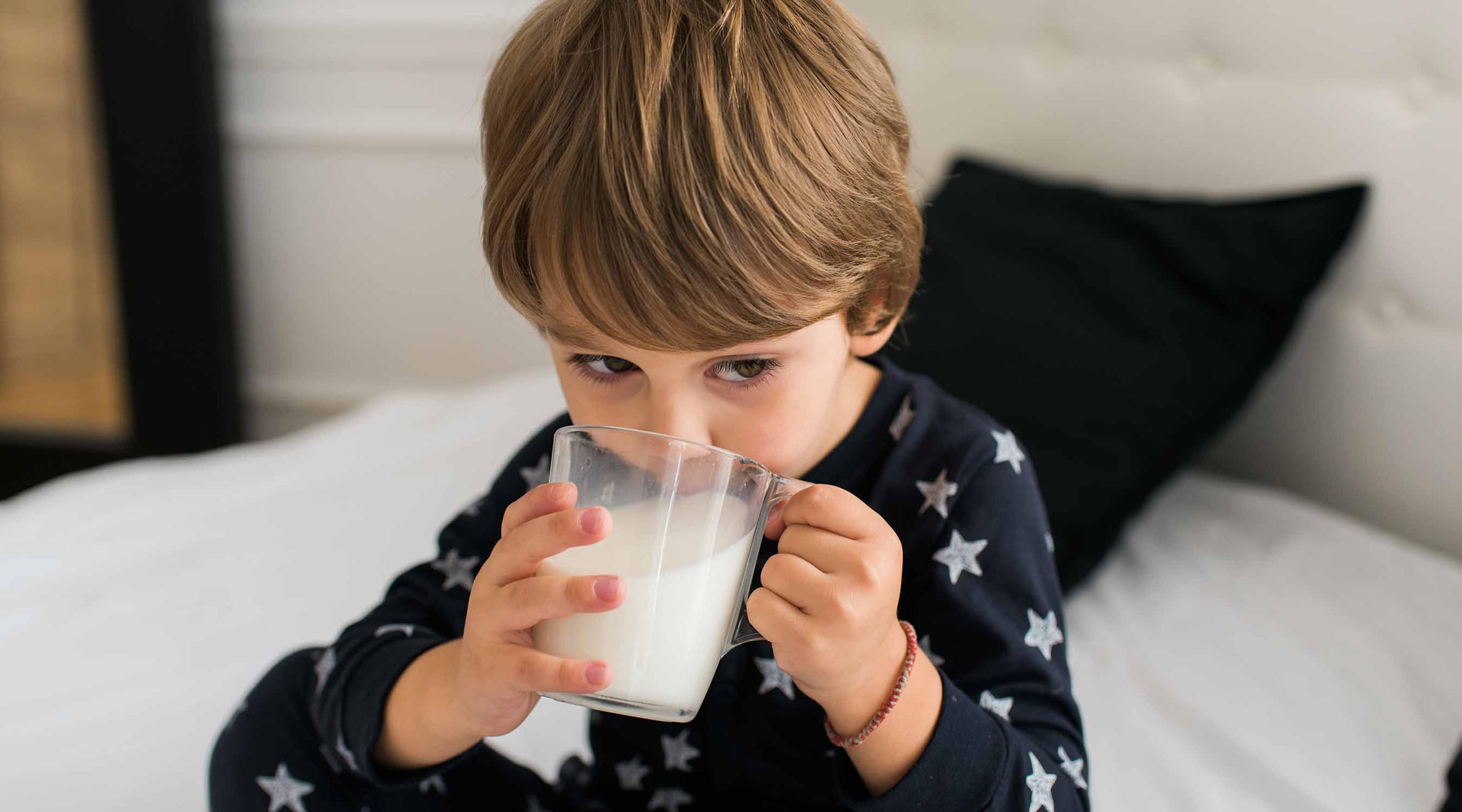 A boy drinks milk in bed.