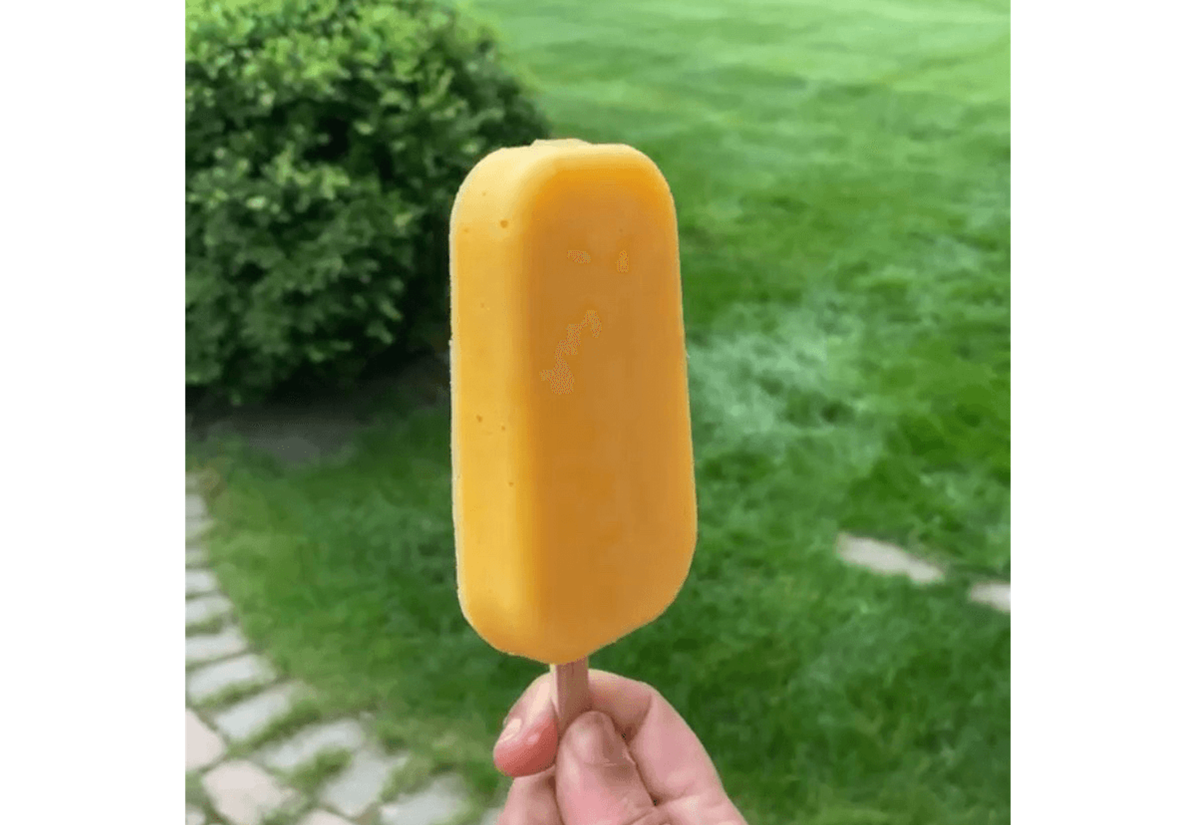 A hand holds a mango popsicle that is a bright orange-yellow against a background of green grass.