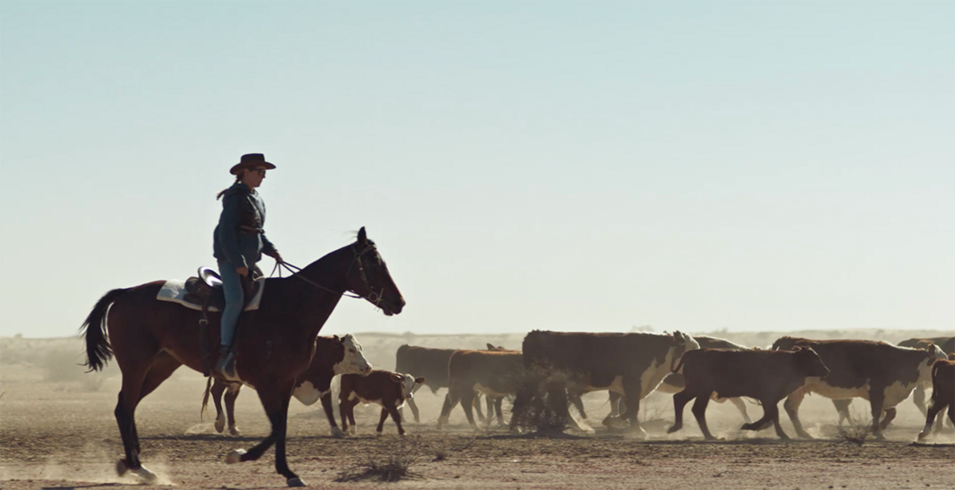 A woman rides a horse to herd a group of brown and white cows.