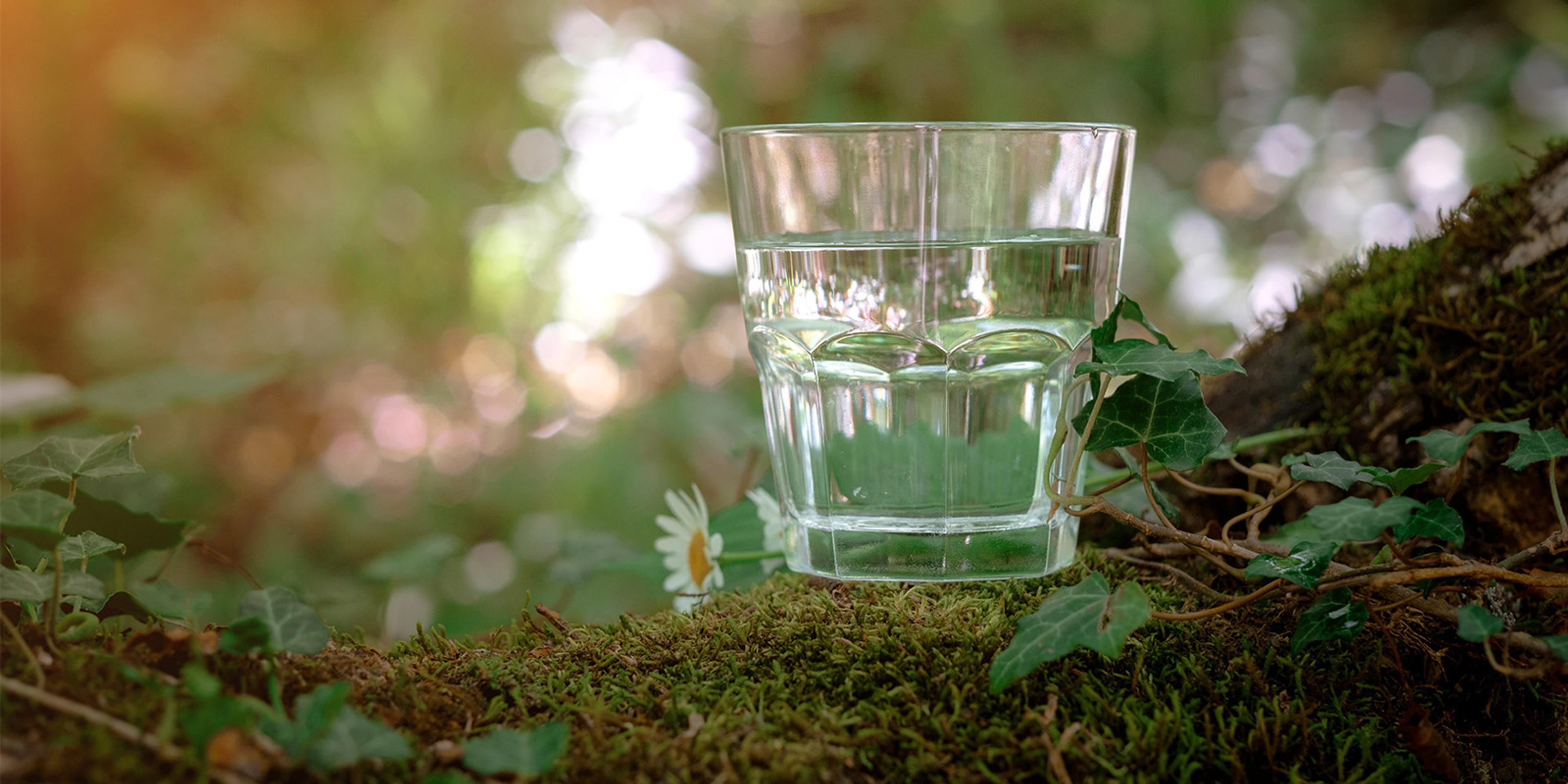 A glass of water set on moss next to a daisy.