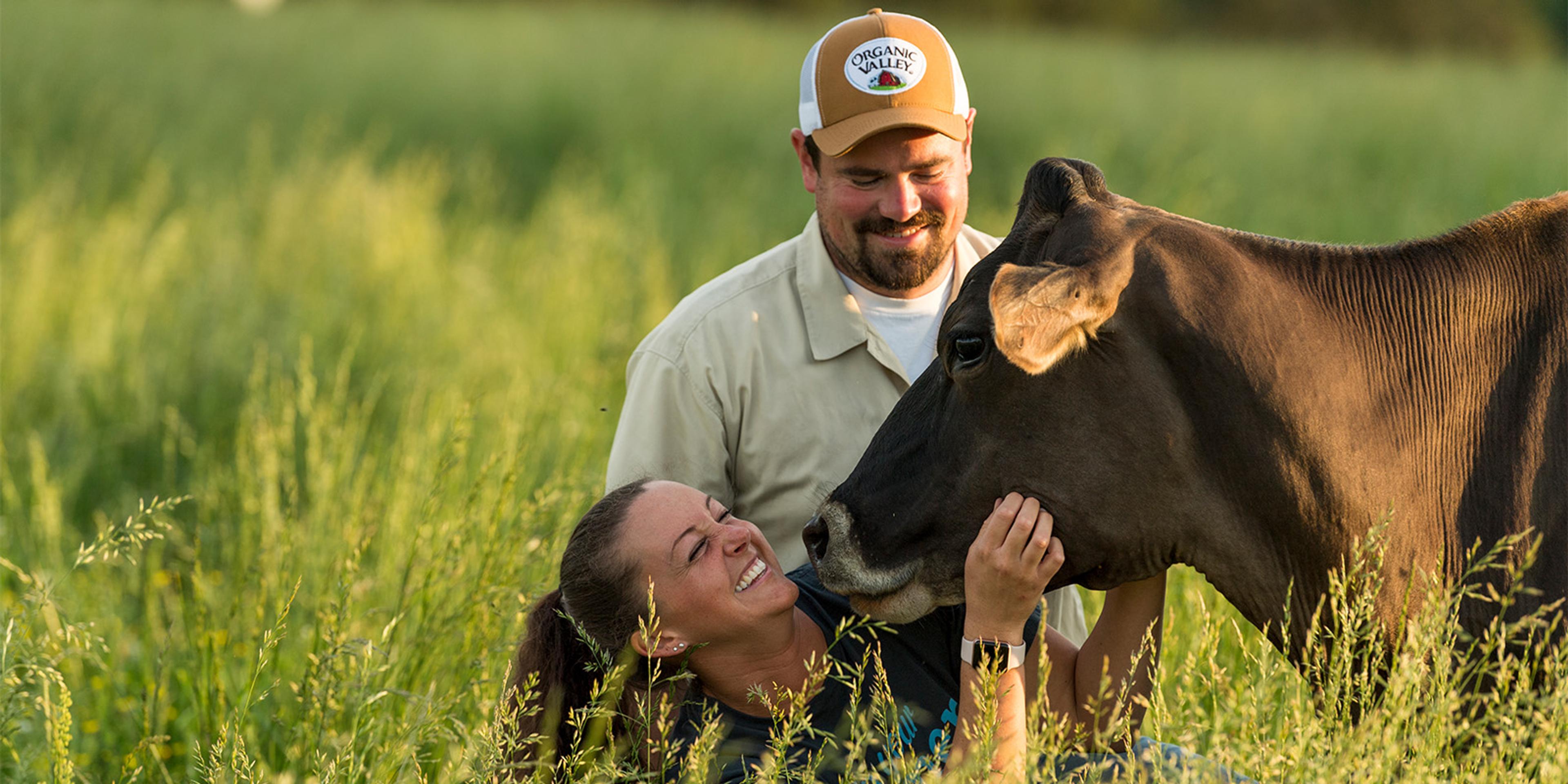 A man and woman pet a cow on the Teague organic farm in North Carolina.