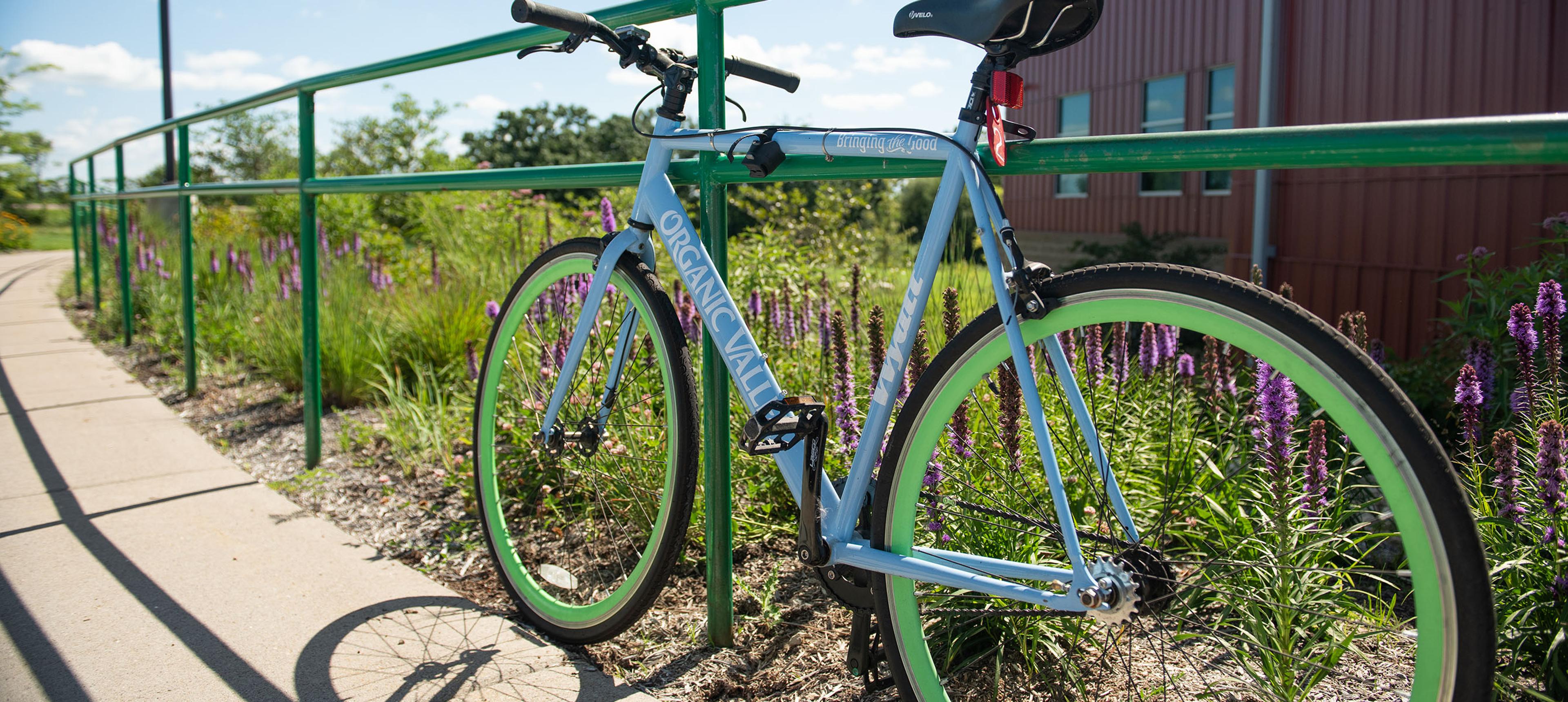 A bike resting on a fence outside Organic Valley's office building.