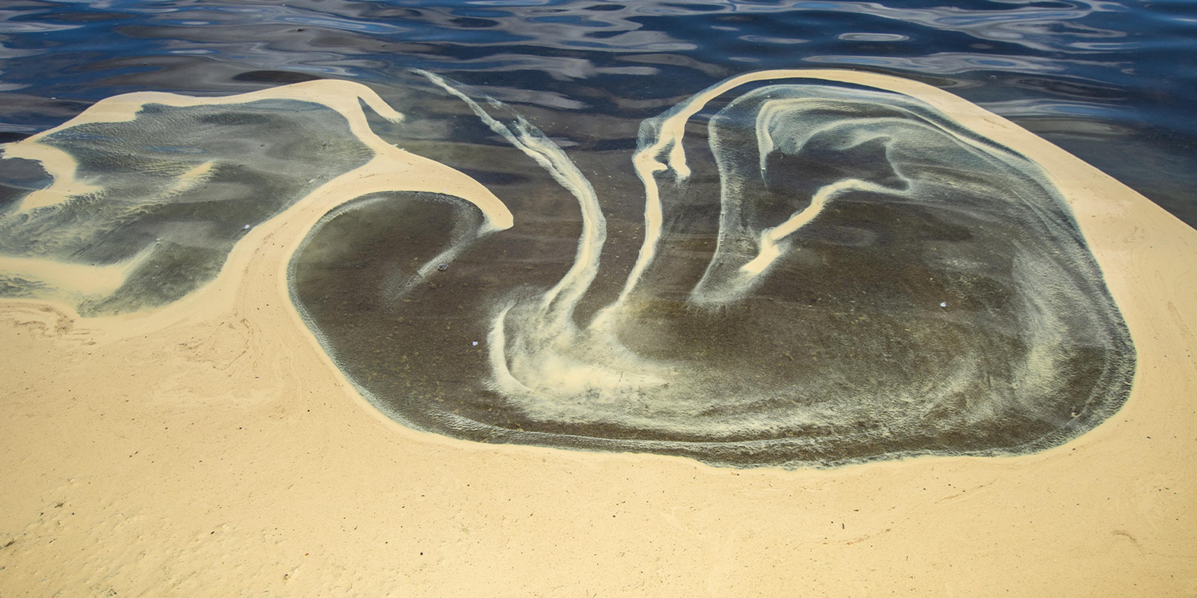 Pollen creates a pattern on pondwater.