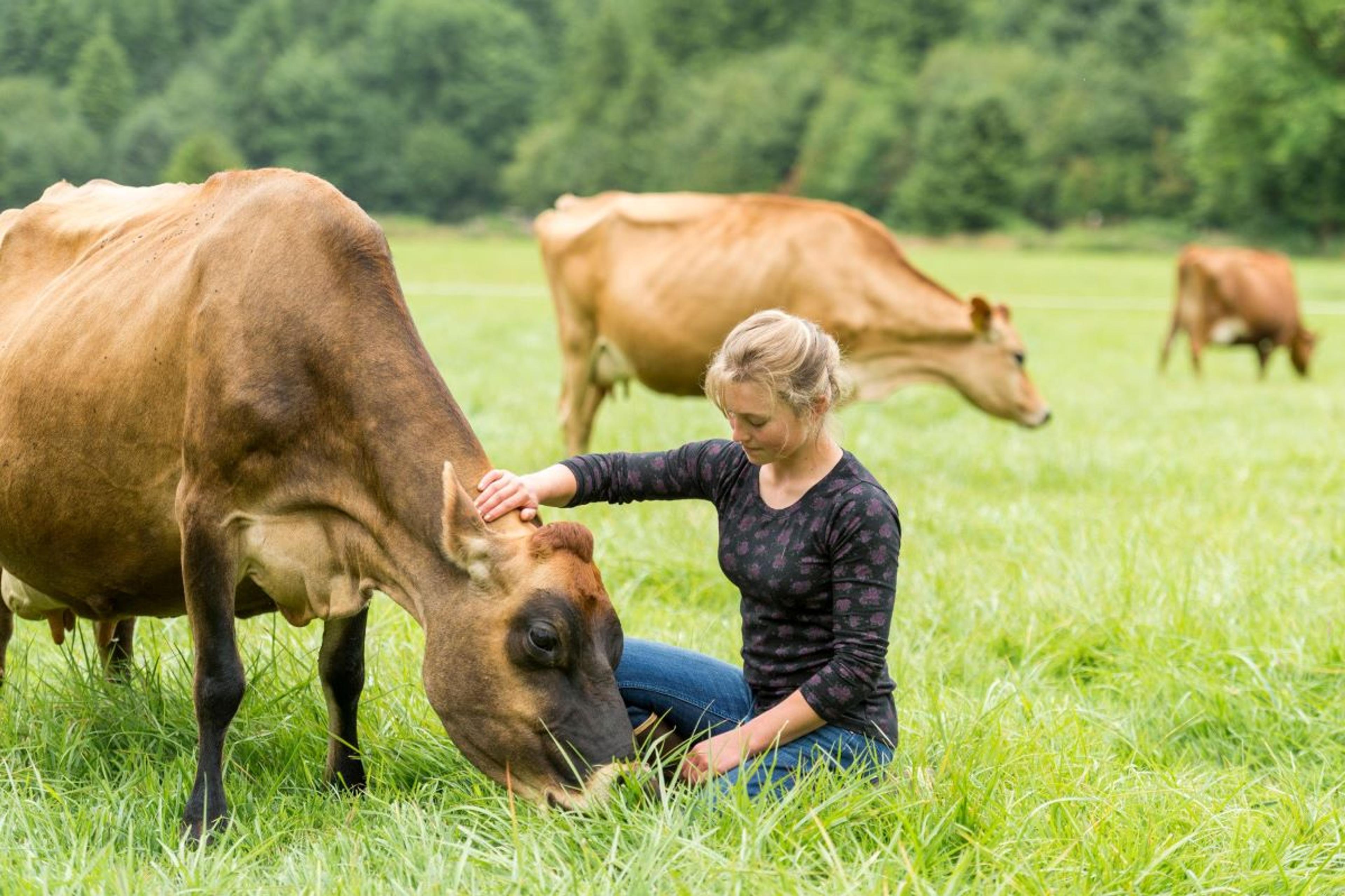  Elena Johnston, Oregon, pets a cow.