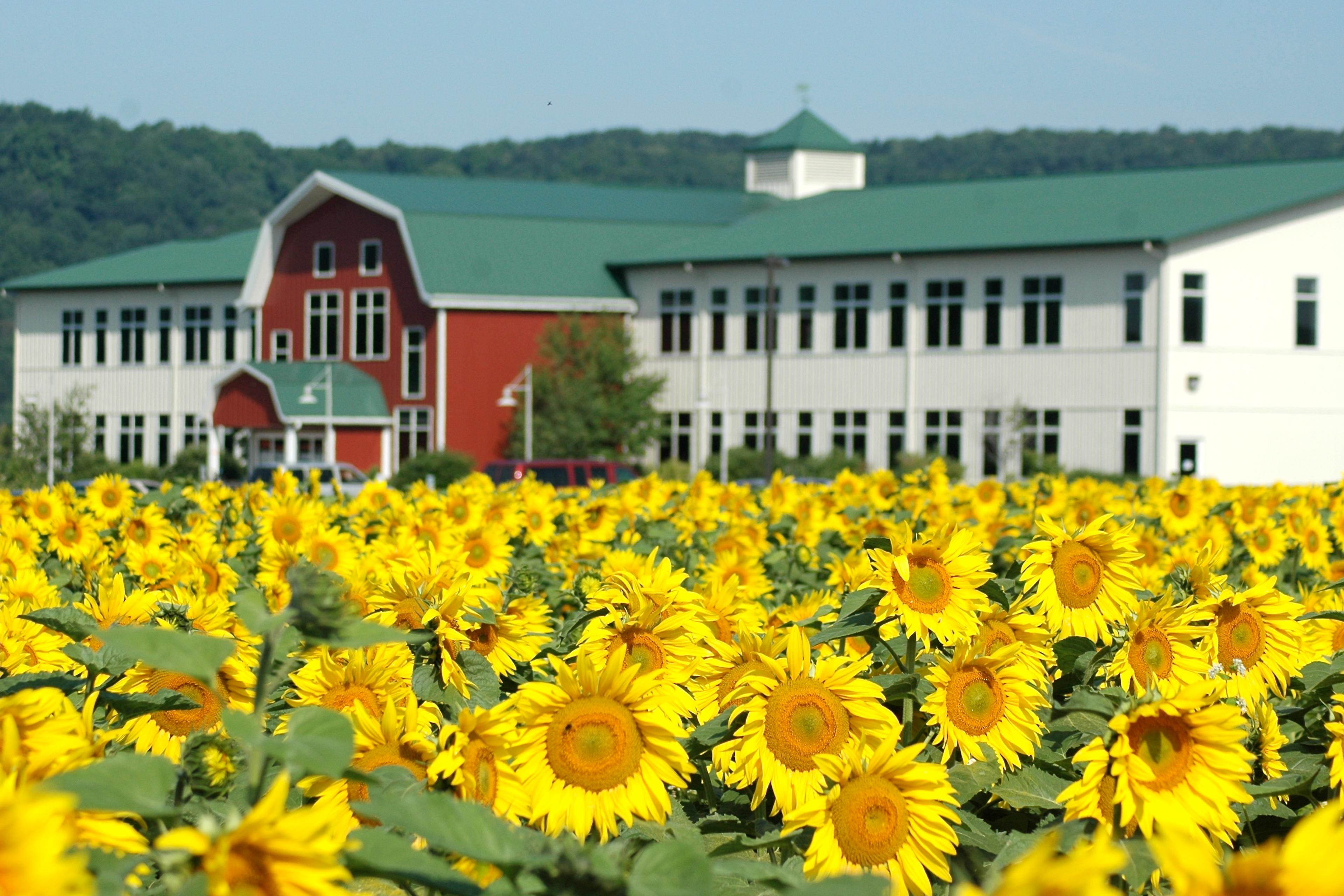 Organic Valley’s headquarters in La Farge, Wisconsin.