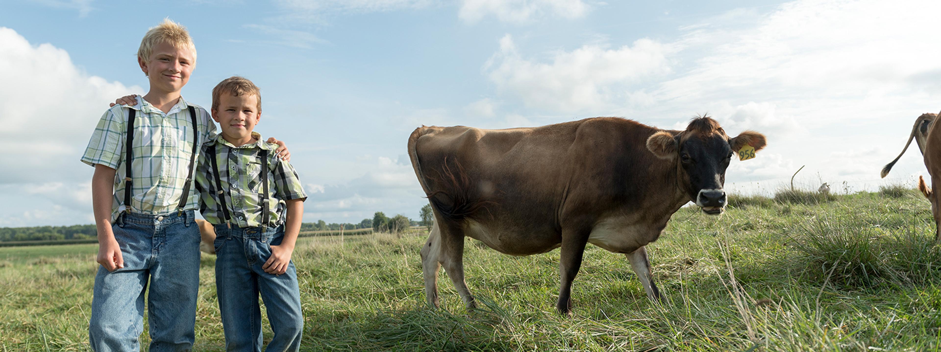 Two brothers standing in a field with a cow.