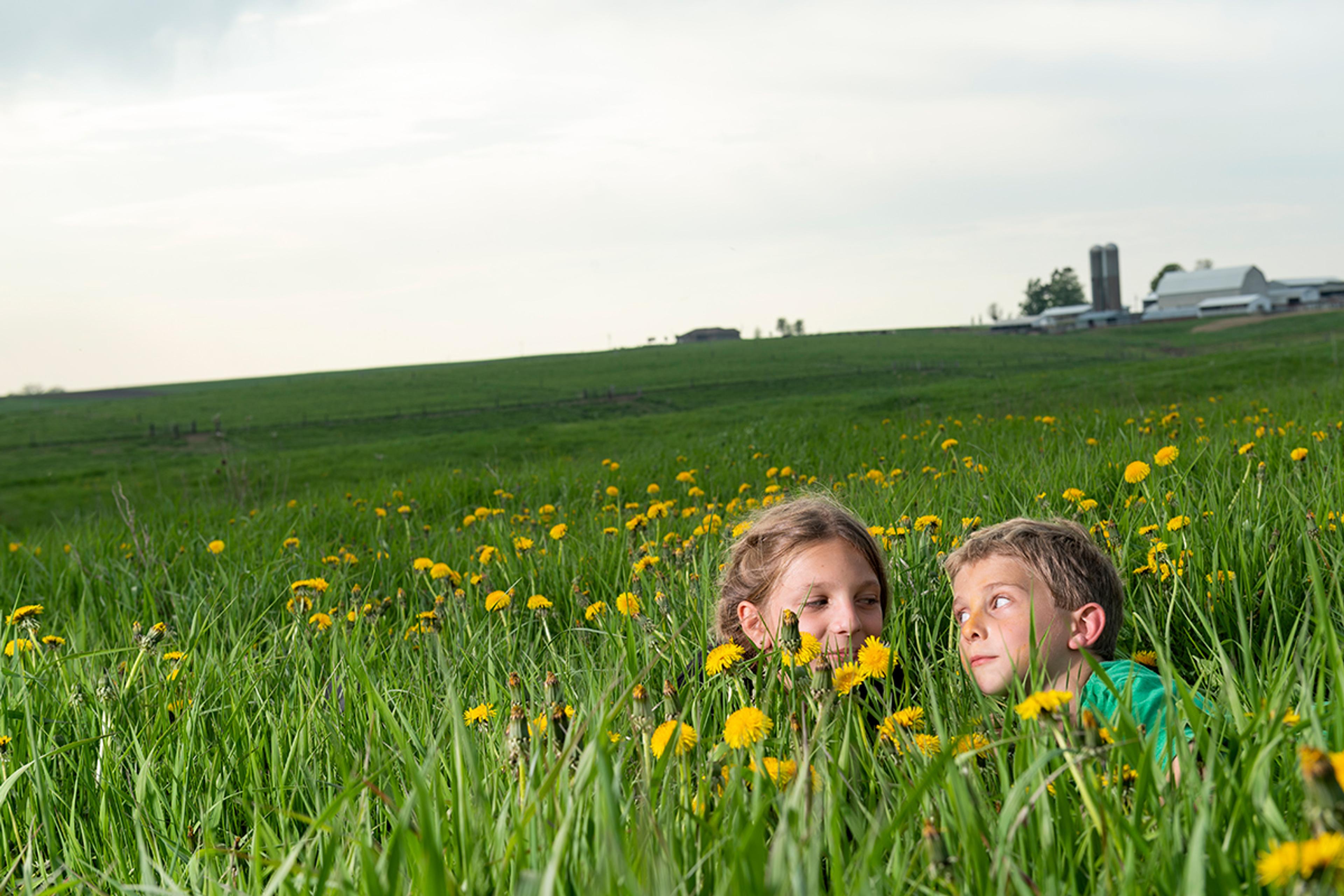 A boy and girl’s heads poke up from a field of tall green grass and yellow dandelions in a pasture that is in front of a barn. The children are looking at each other with goofy expressions.