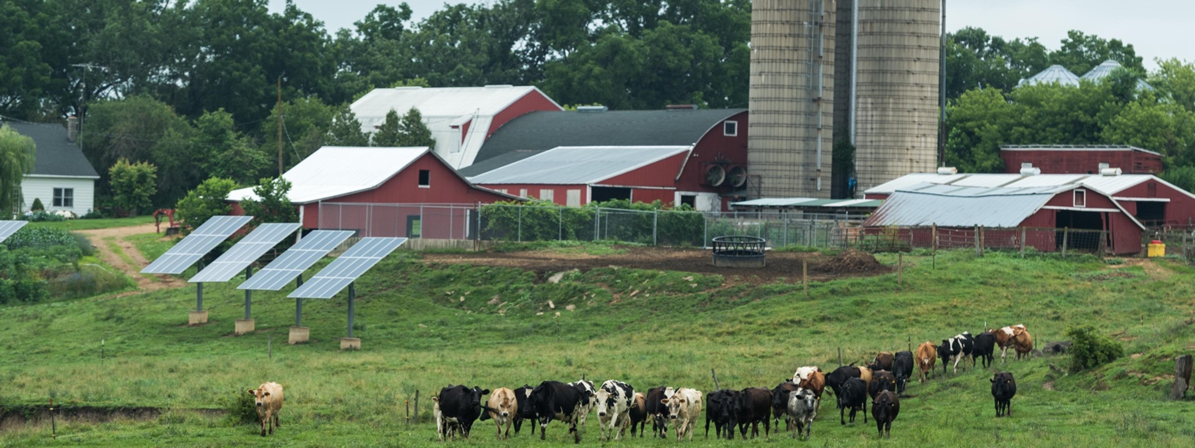 Scenic view of holistic farming.