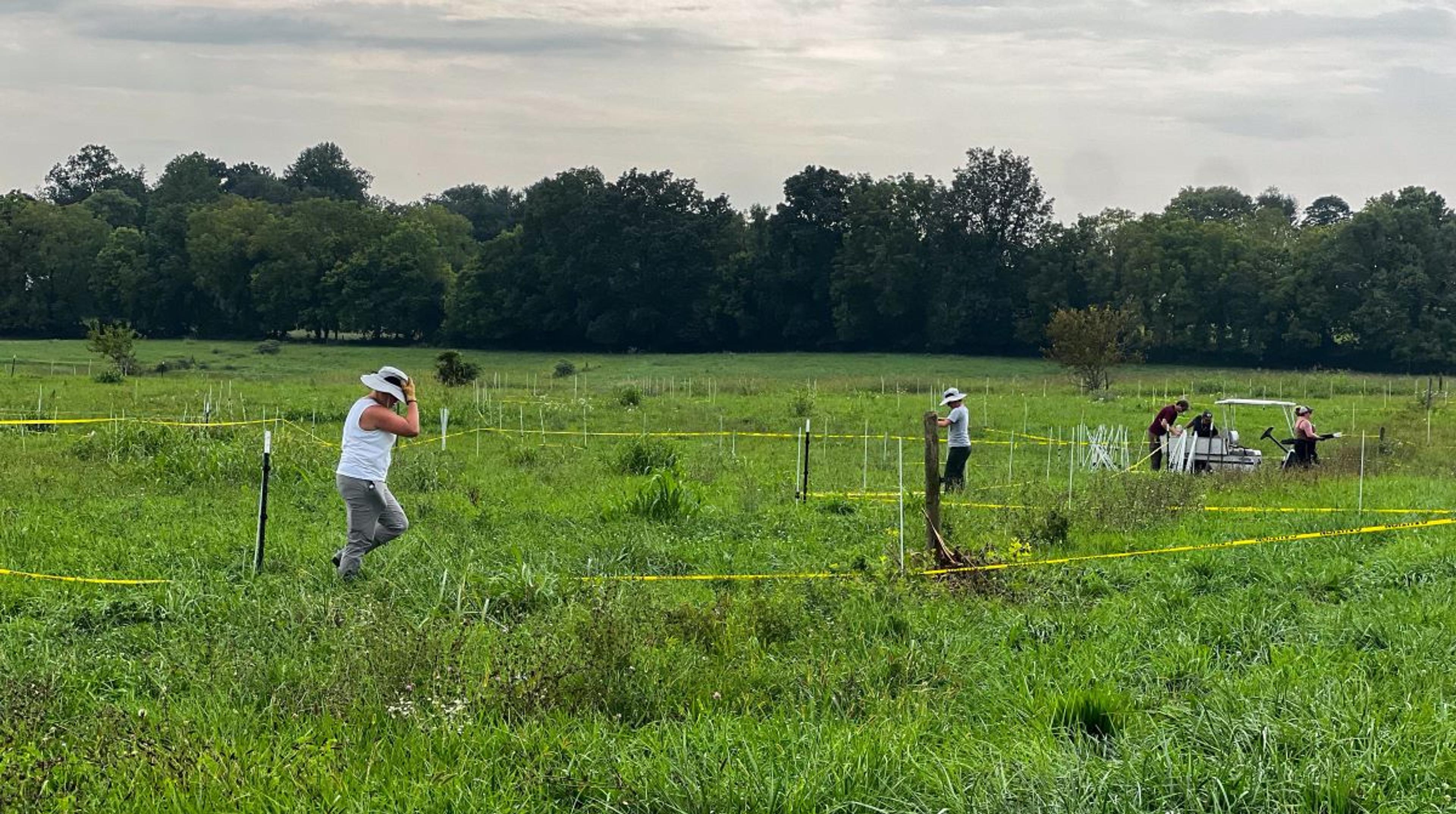 People build fences in a pasture in Maryland