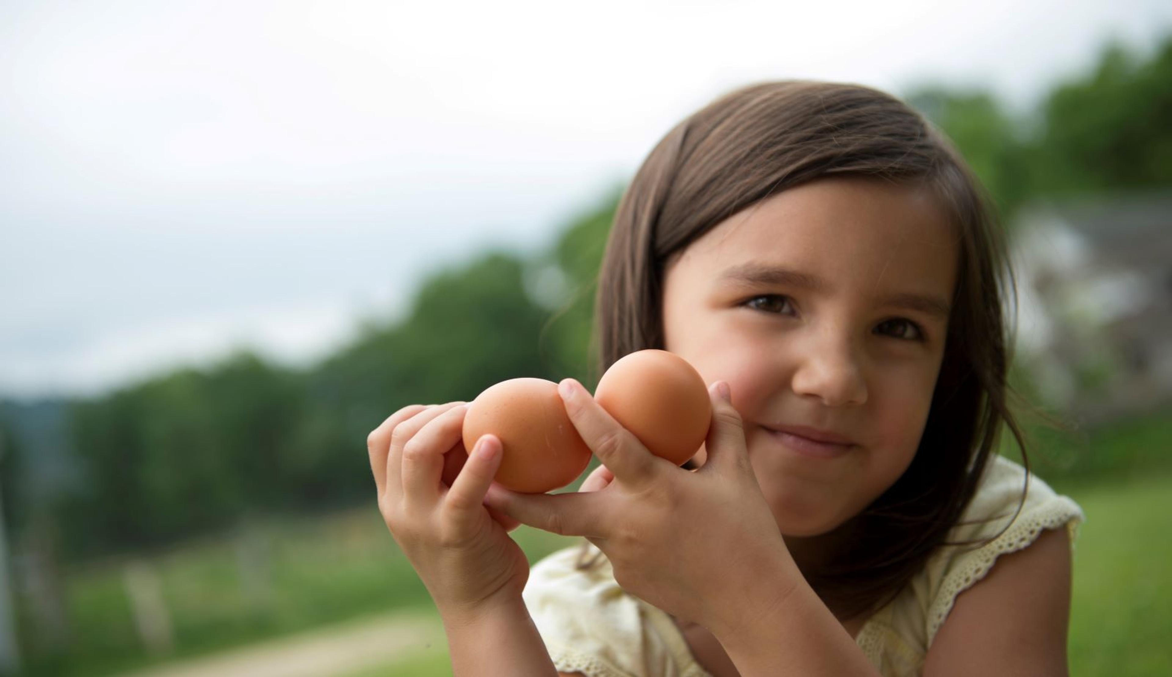 A girl holds organic eggs at an Organic Valley farm.