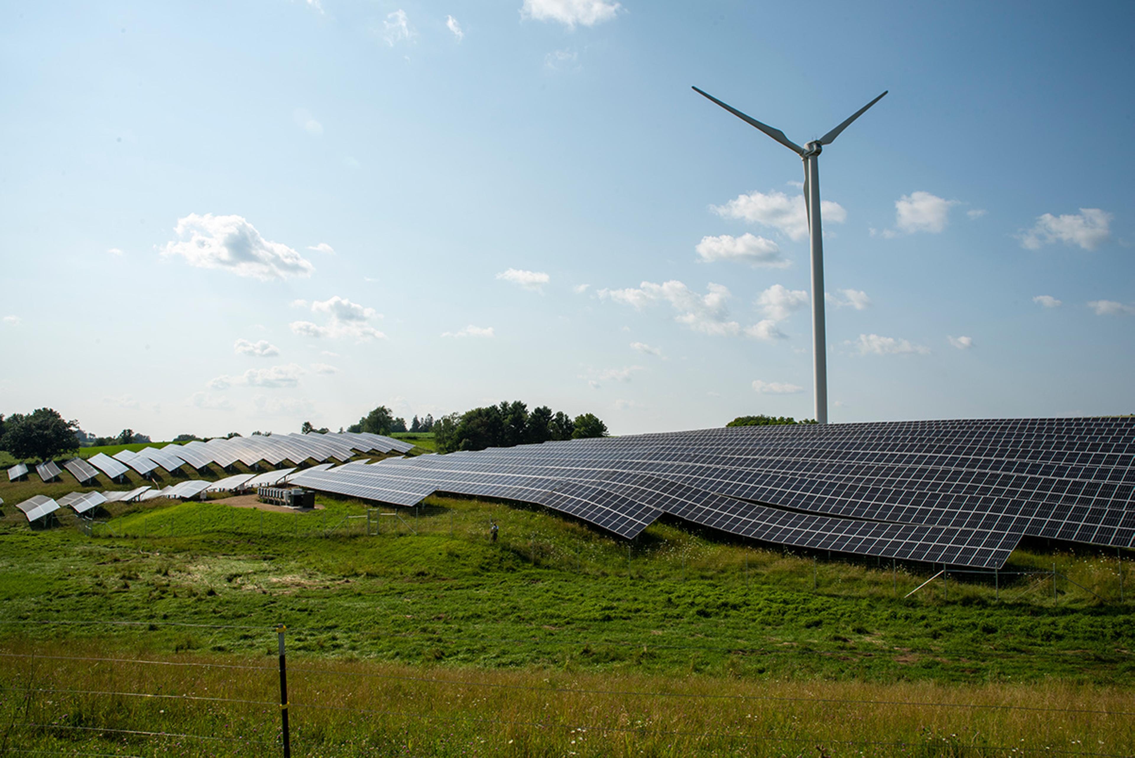 Solar panels and wind turbines on the Organic Valley Cashton facilities.