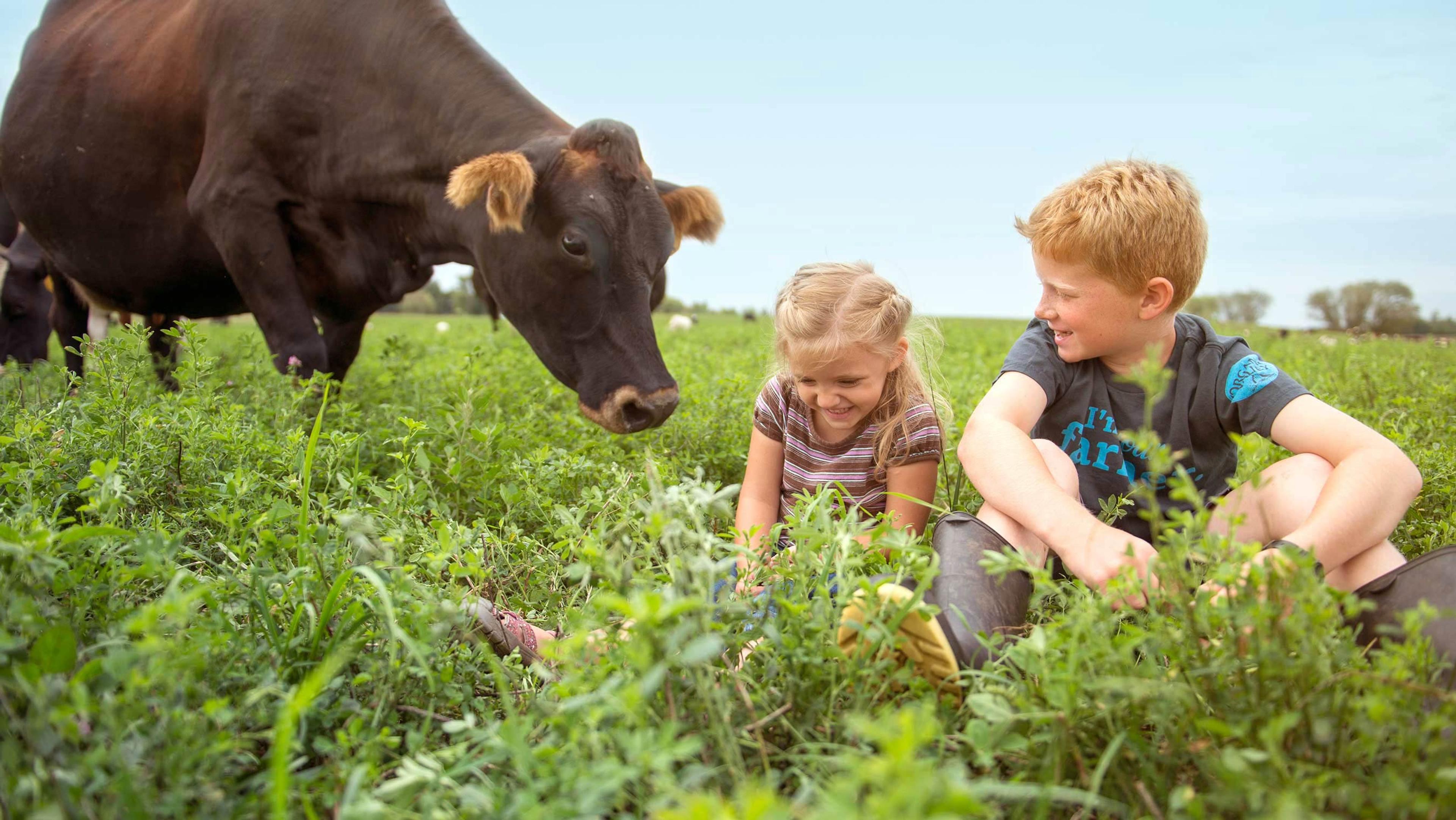 The Elsenpeter children on their Organic Valley family farm