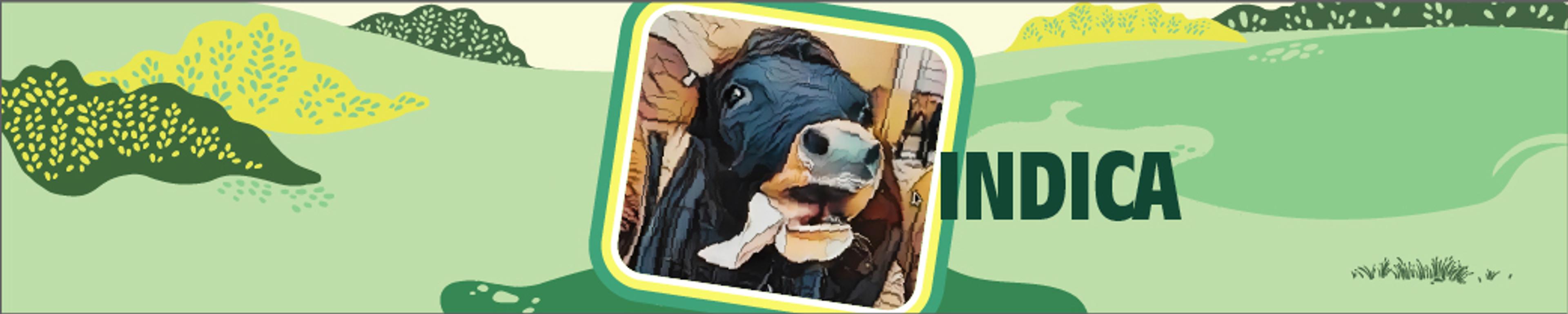 A graphic of a dairy cow with pasture in the background.