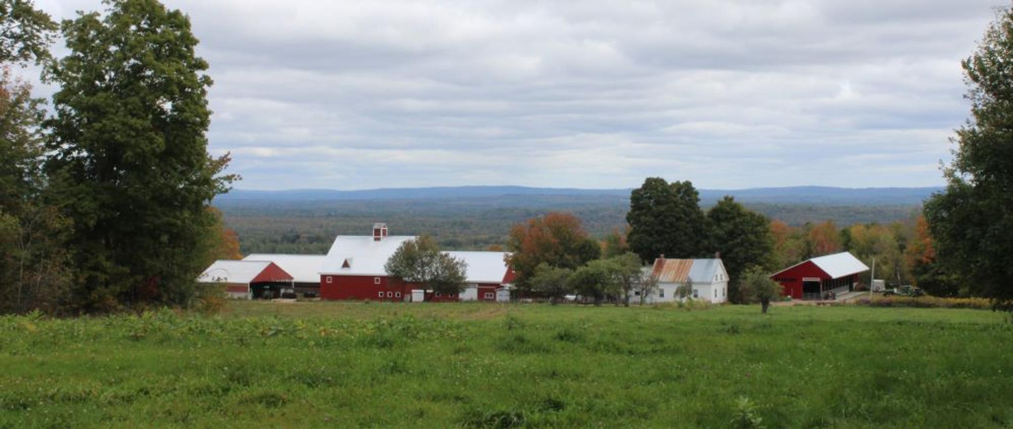 A farm shown in the distance