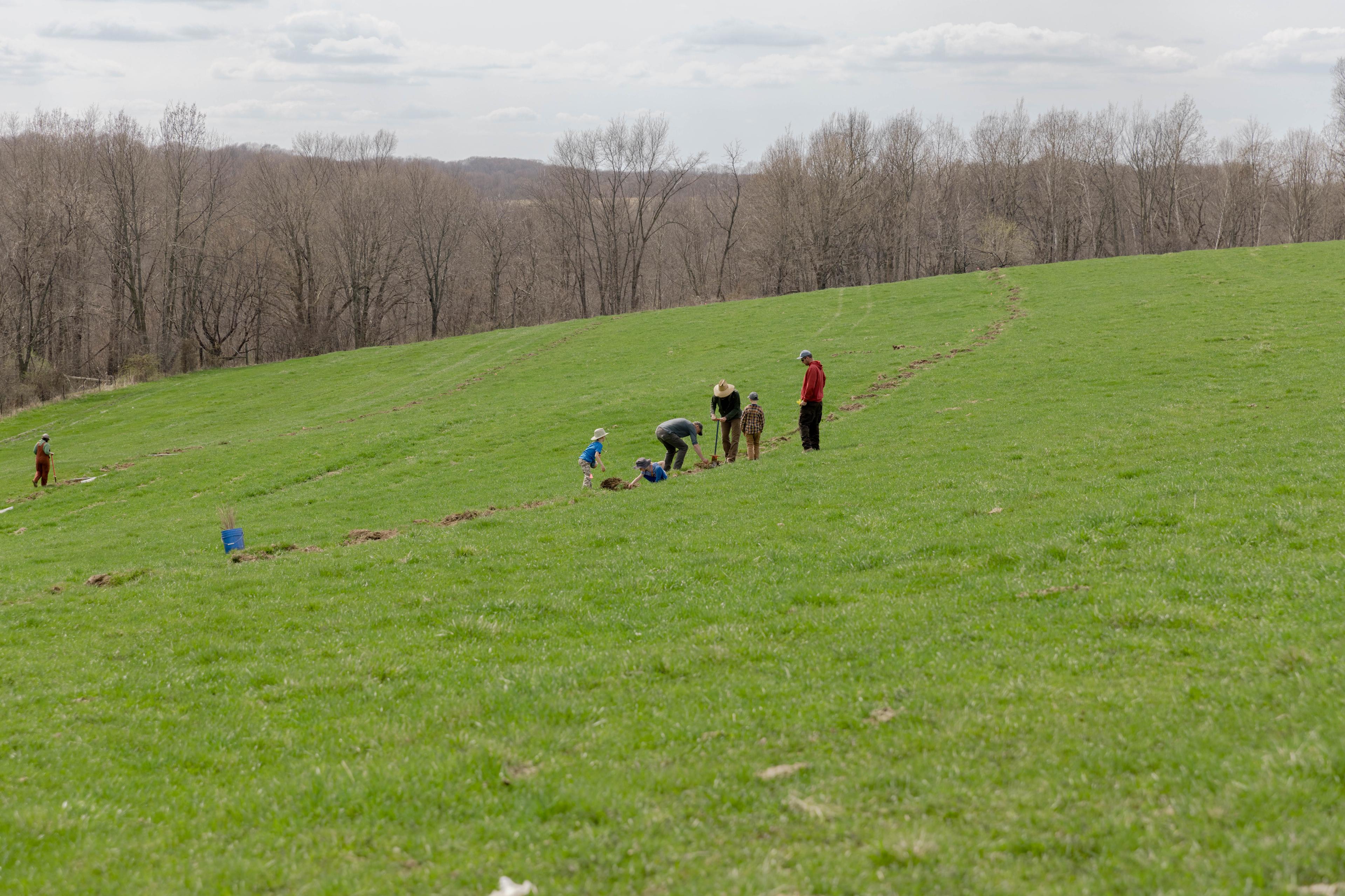 Volunteers plant saplings at All Seasons Farm in Wisconsin.