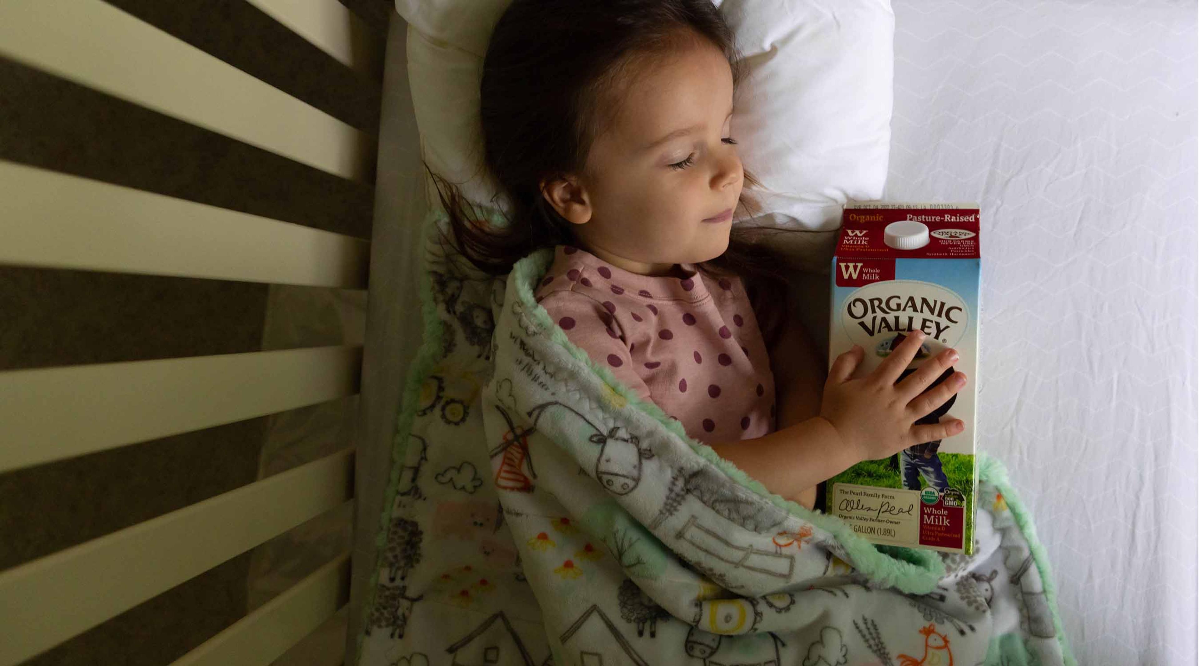 A toddler sleeps while holding Organic Valley milk