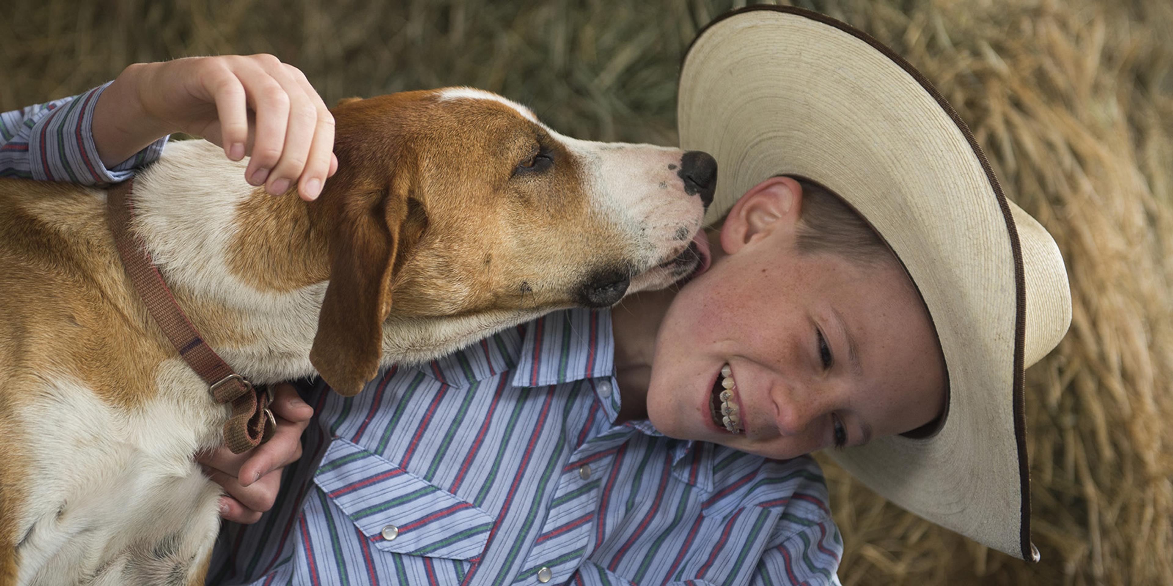 A coonhound licks a boy wearing a cowboy hat.