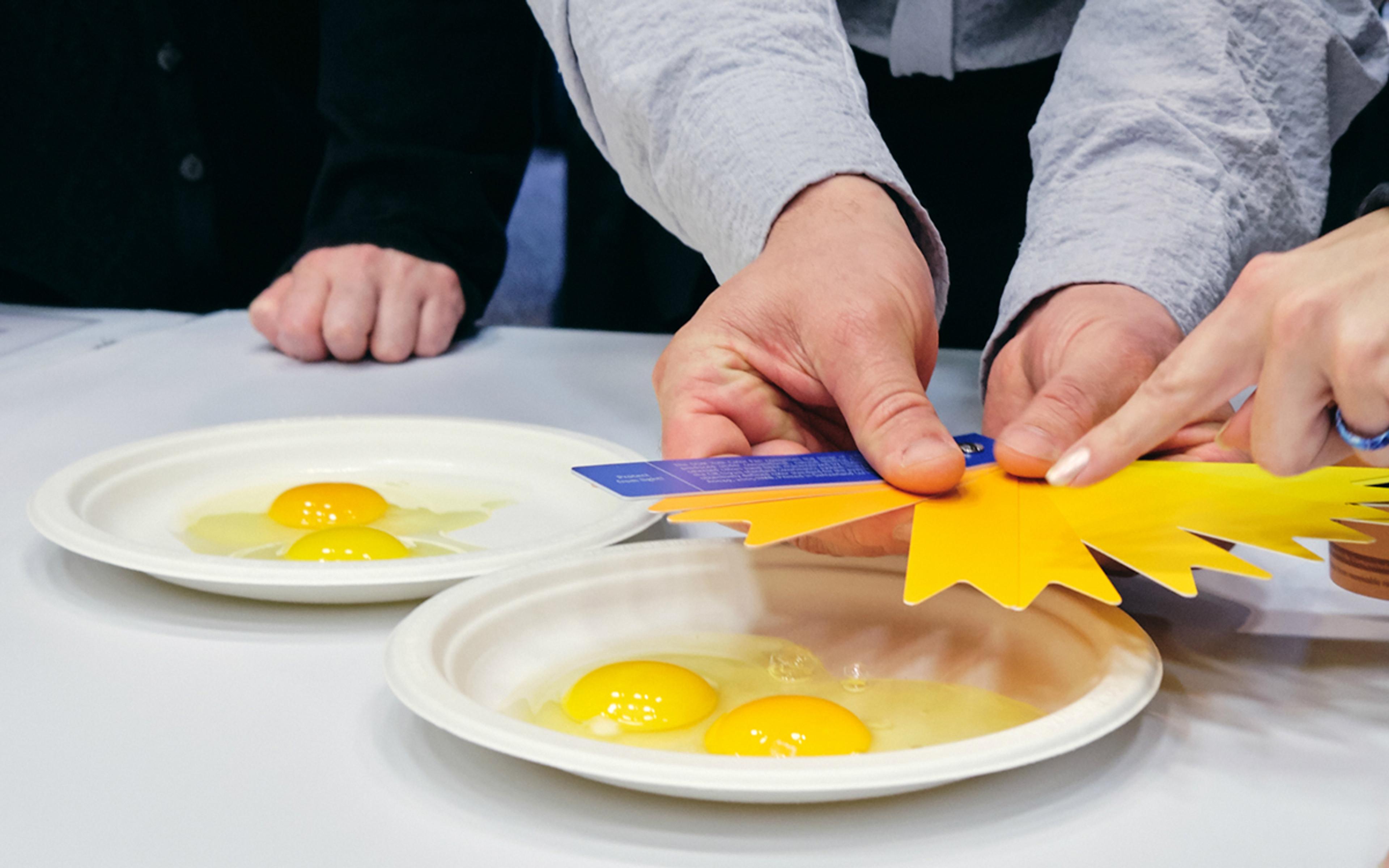 A person holds an egg yolk color fan next to a plate of eggs.