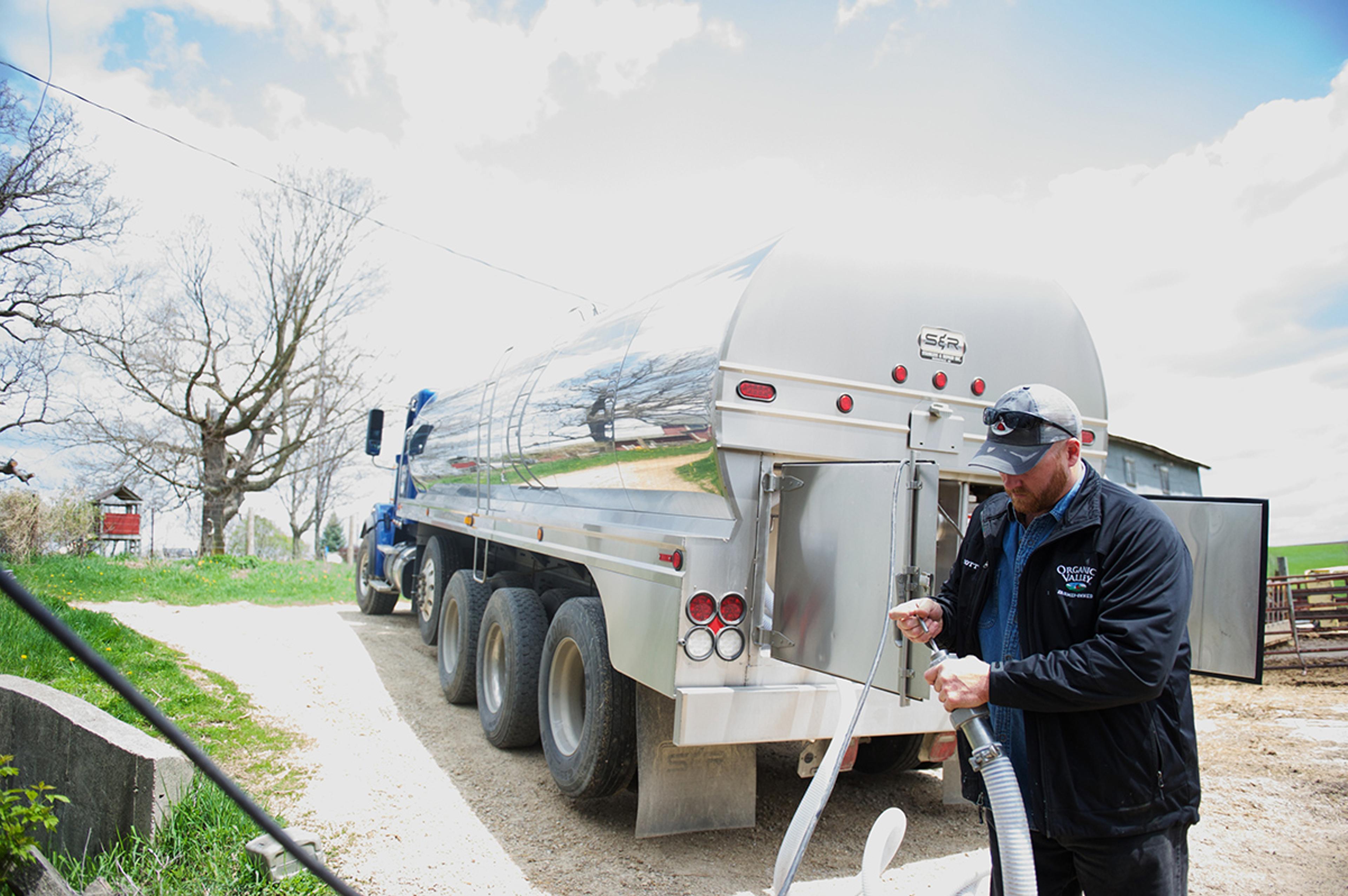 A man examines the end of the hose connecting to his milk truck on an Organic Valley farm.