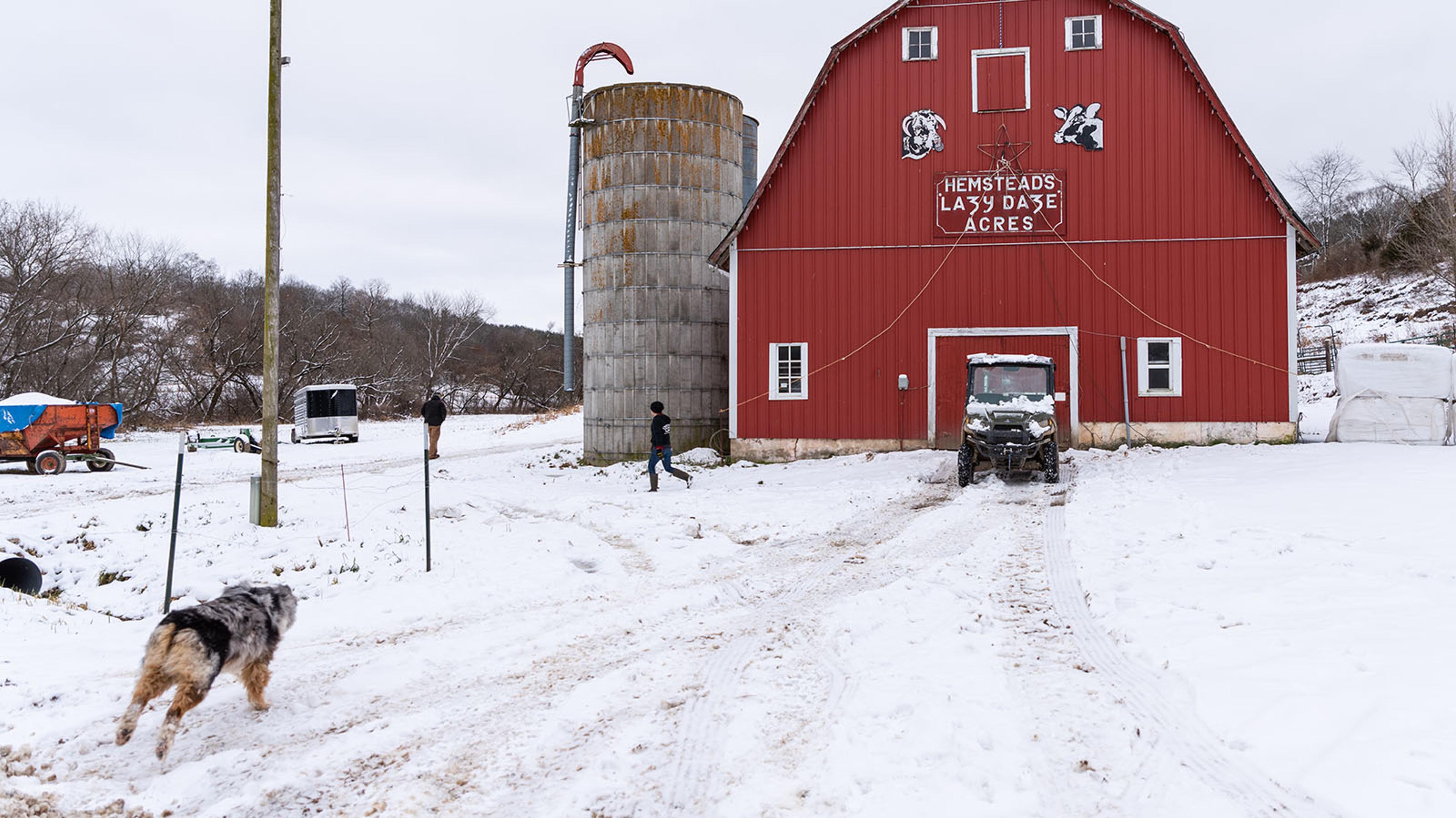 A farm dog runs through the snow to catch up to Kristina walking around the beautiful red milking parlor with a sign reading Lazy Daze Acres on the wall.