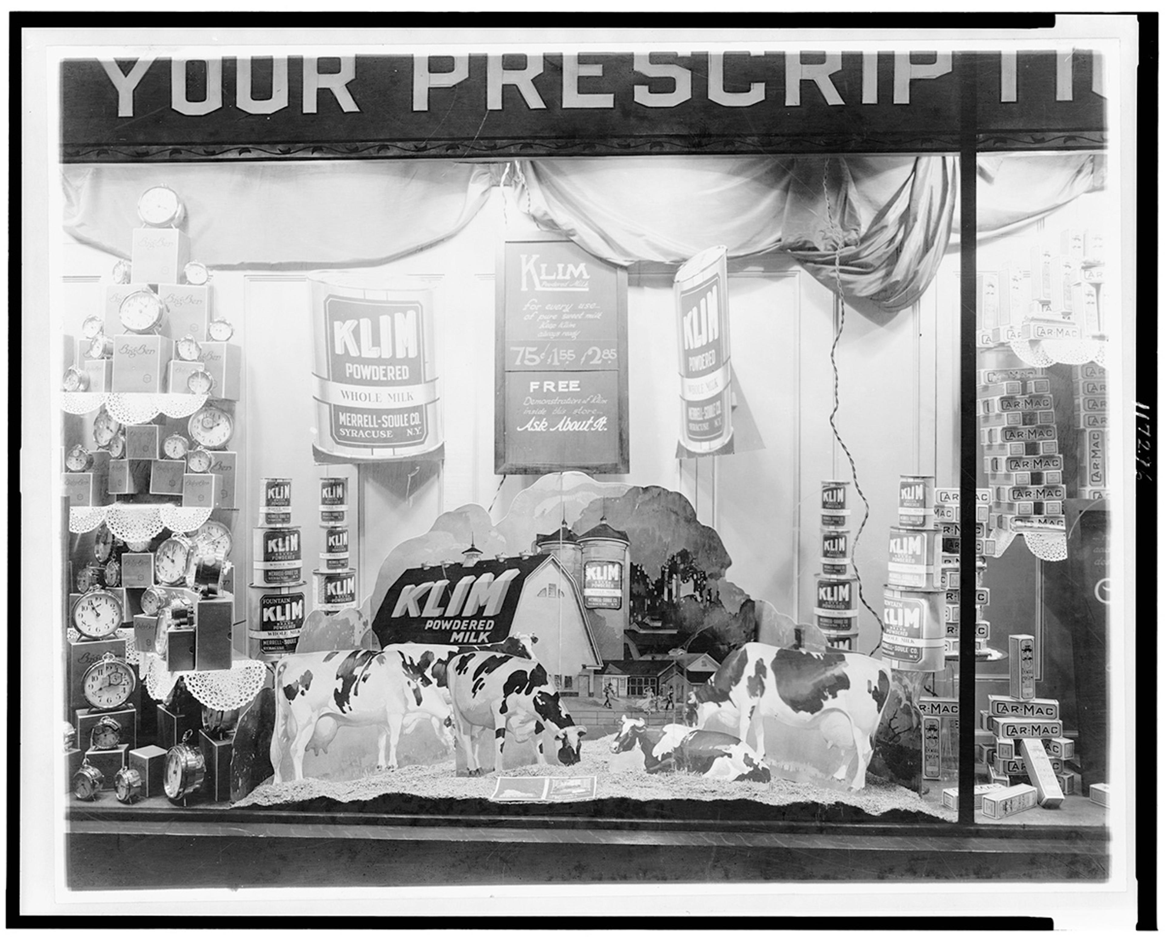 A black and white photo of an early 20th century drugstore display showing model cows and a miniature farm with signs for Klim powdered milk.