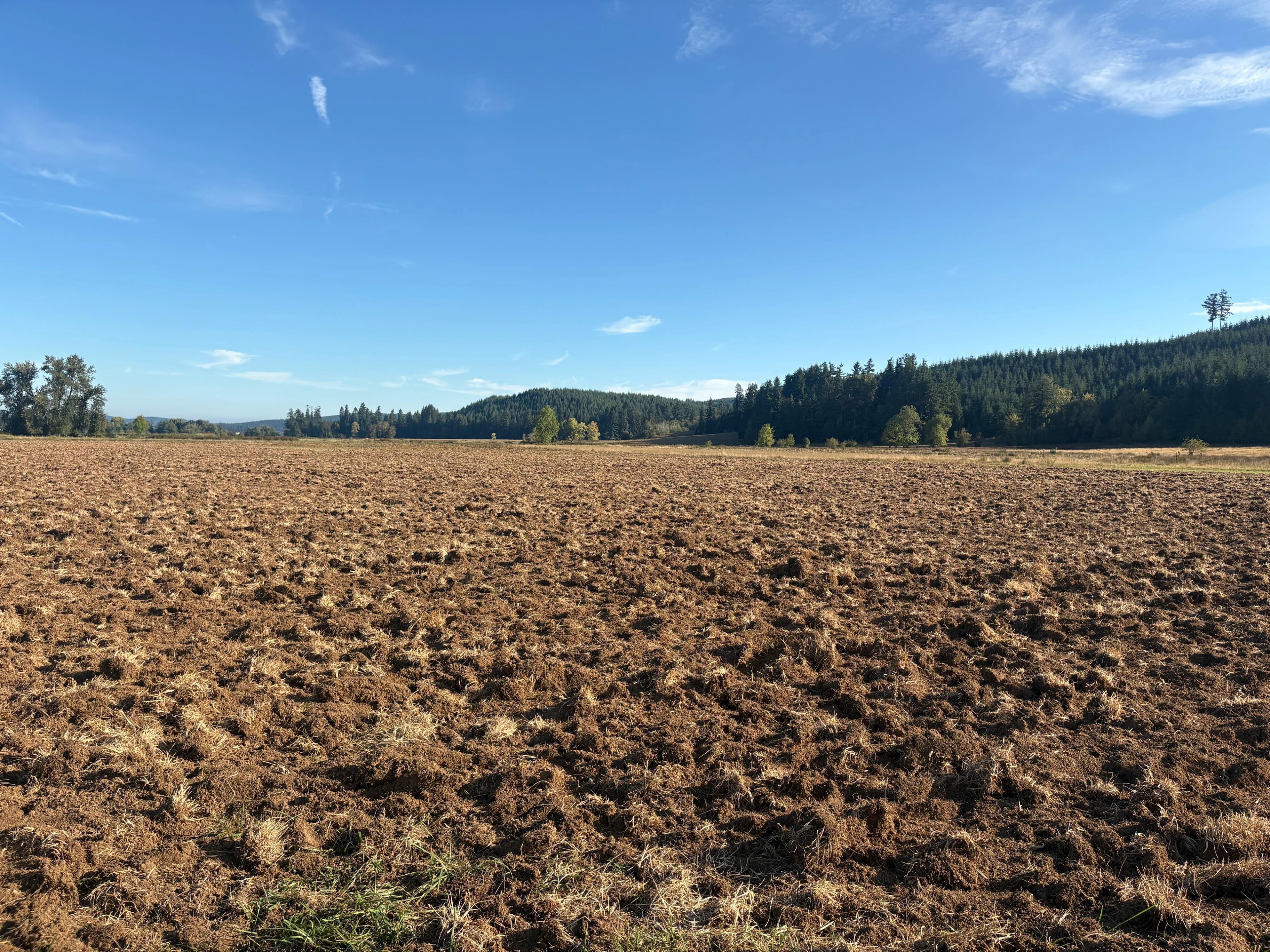  A freshly tilled field.