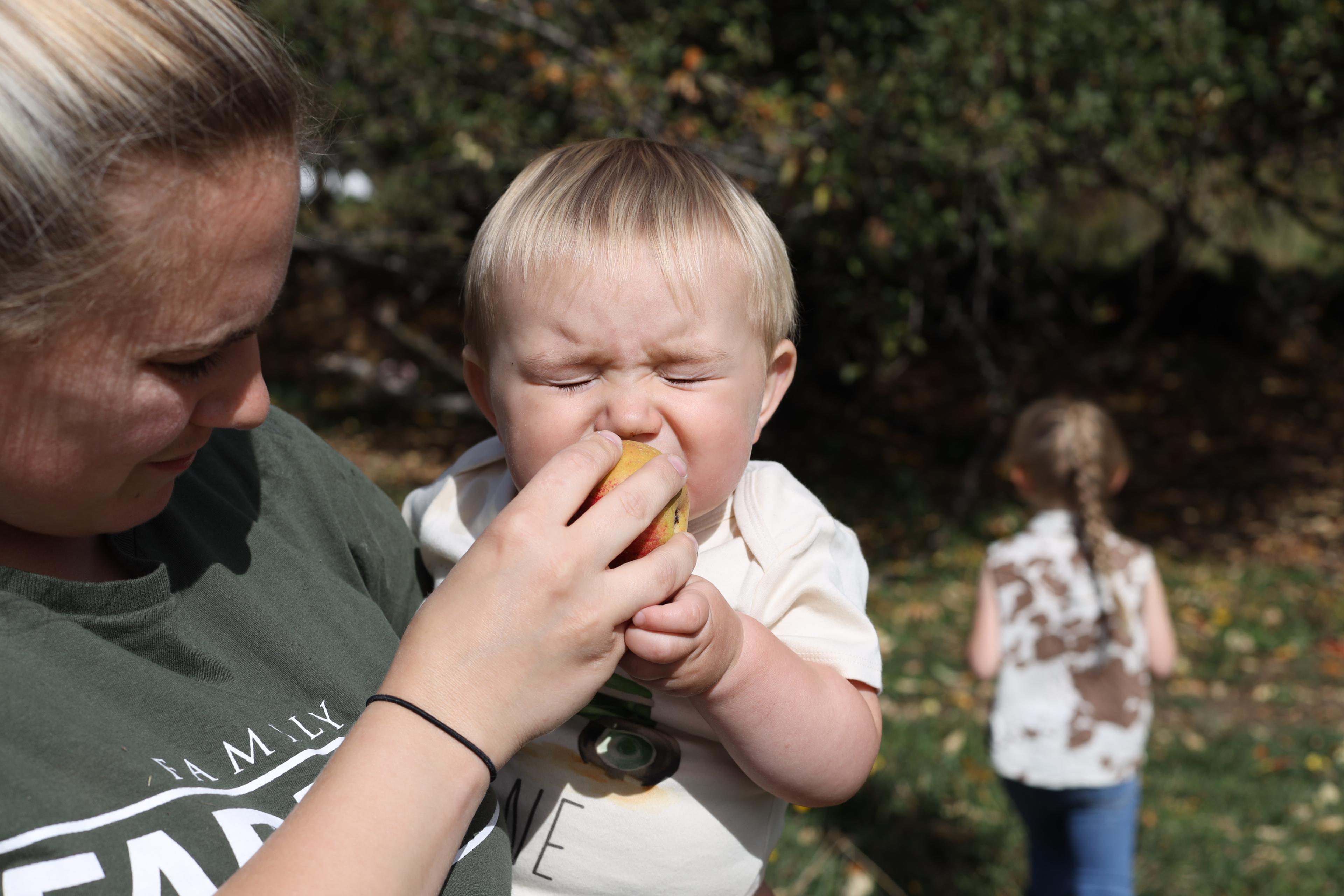 A toddler squints at the taste of a fresh, organic apple while his mom holds him. 