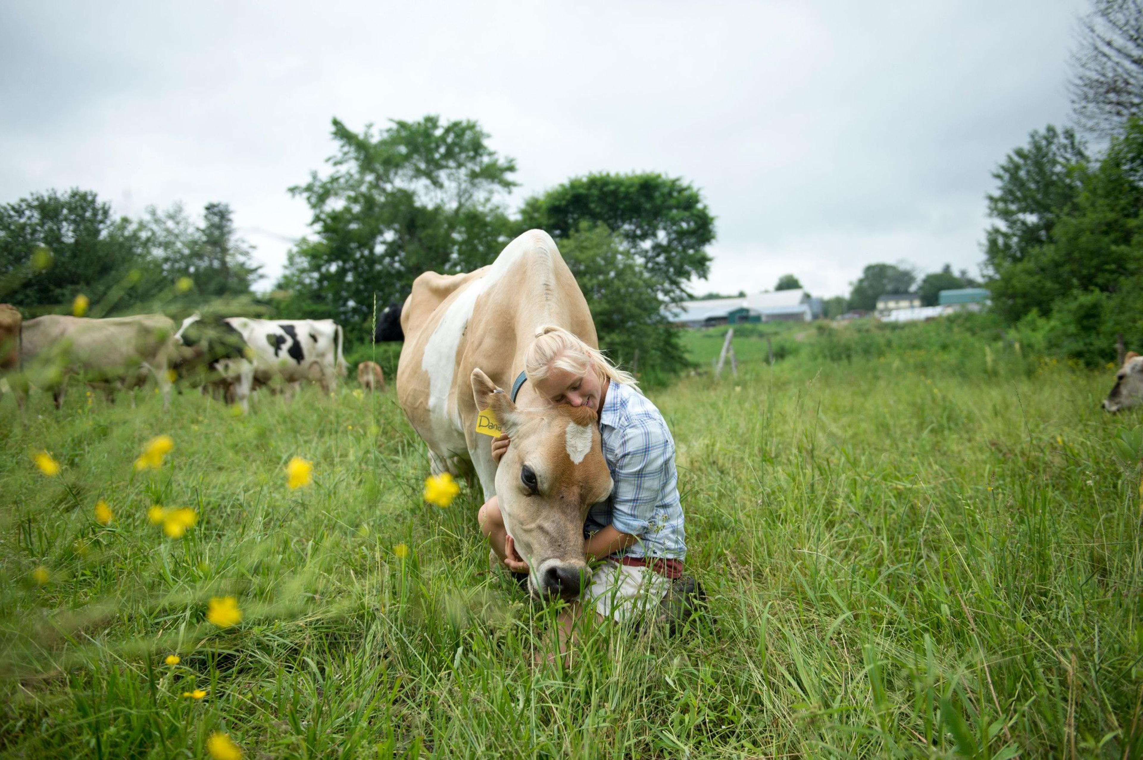 Cow cuddles at the Hartkopf farm in Maine.