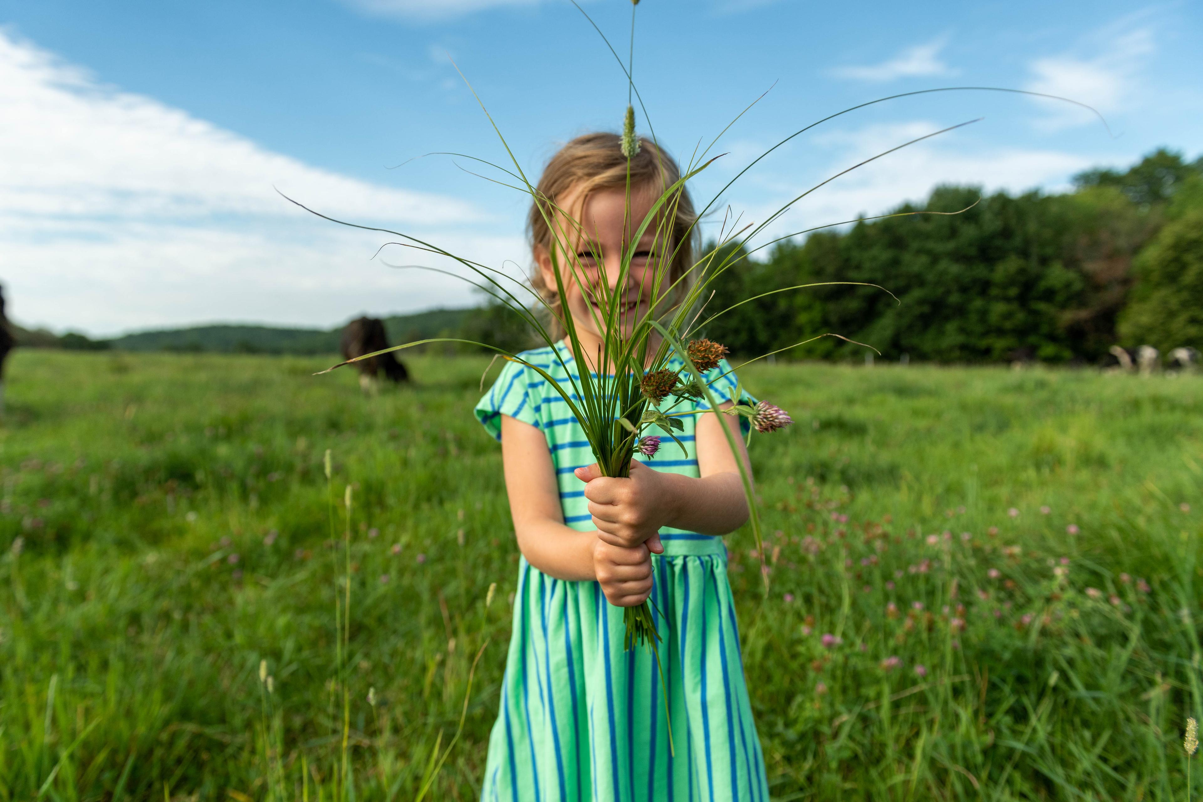 A girl holds a bouquet of clover and grasses in a pasture on the Turner family farm in Maine.