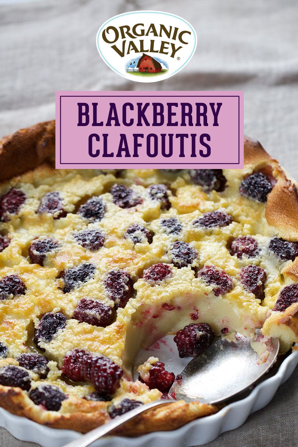 Blackberry Clafoutis with Organic Valley