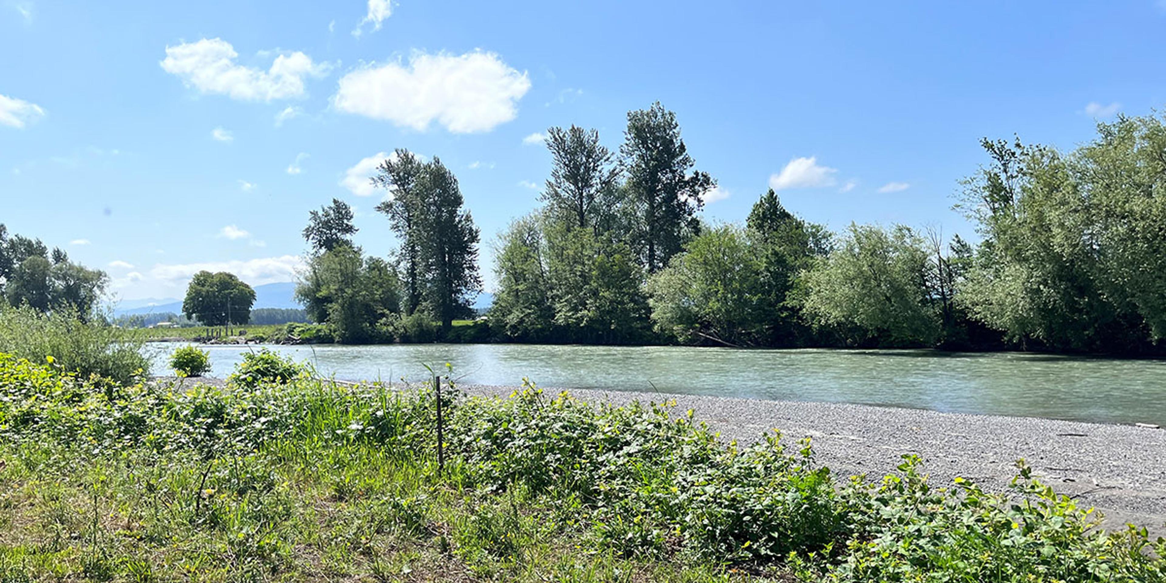 The Nooksack River runs through Edelweiss Dairy in Washington. Mountains can be seen in the distance.