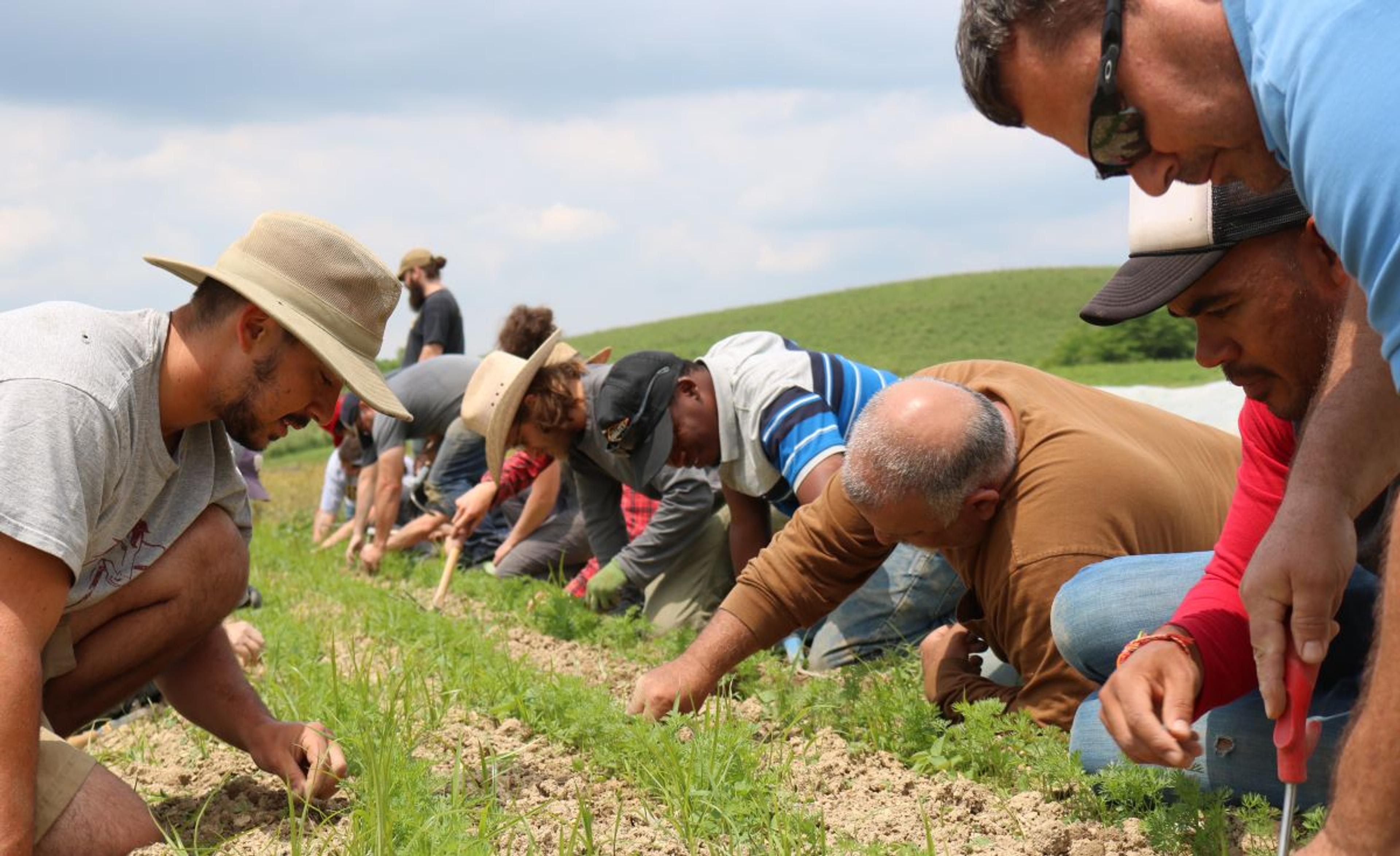 Students kneel in soil in an image provided by Rodale Institute. 